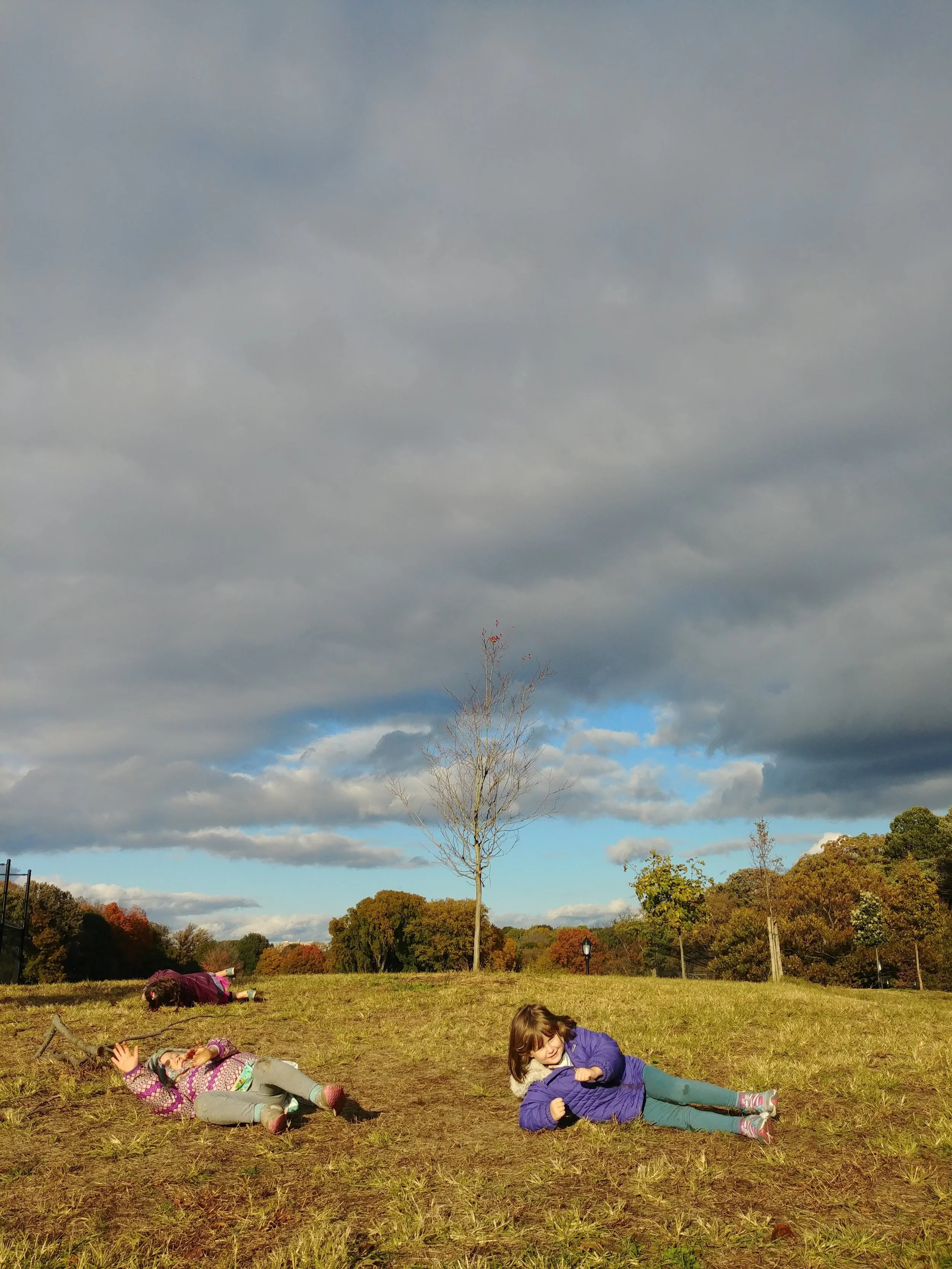 20181029_162511.jpg