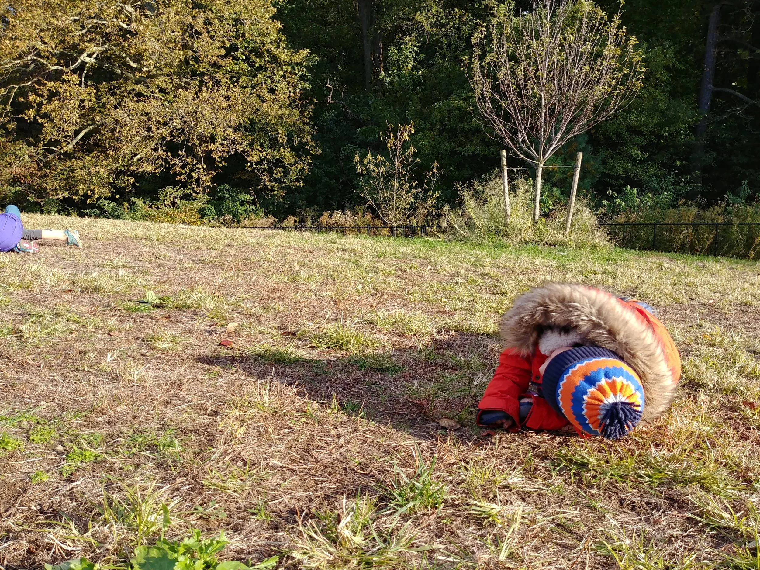 20181029_162618_HDR.jpg