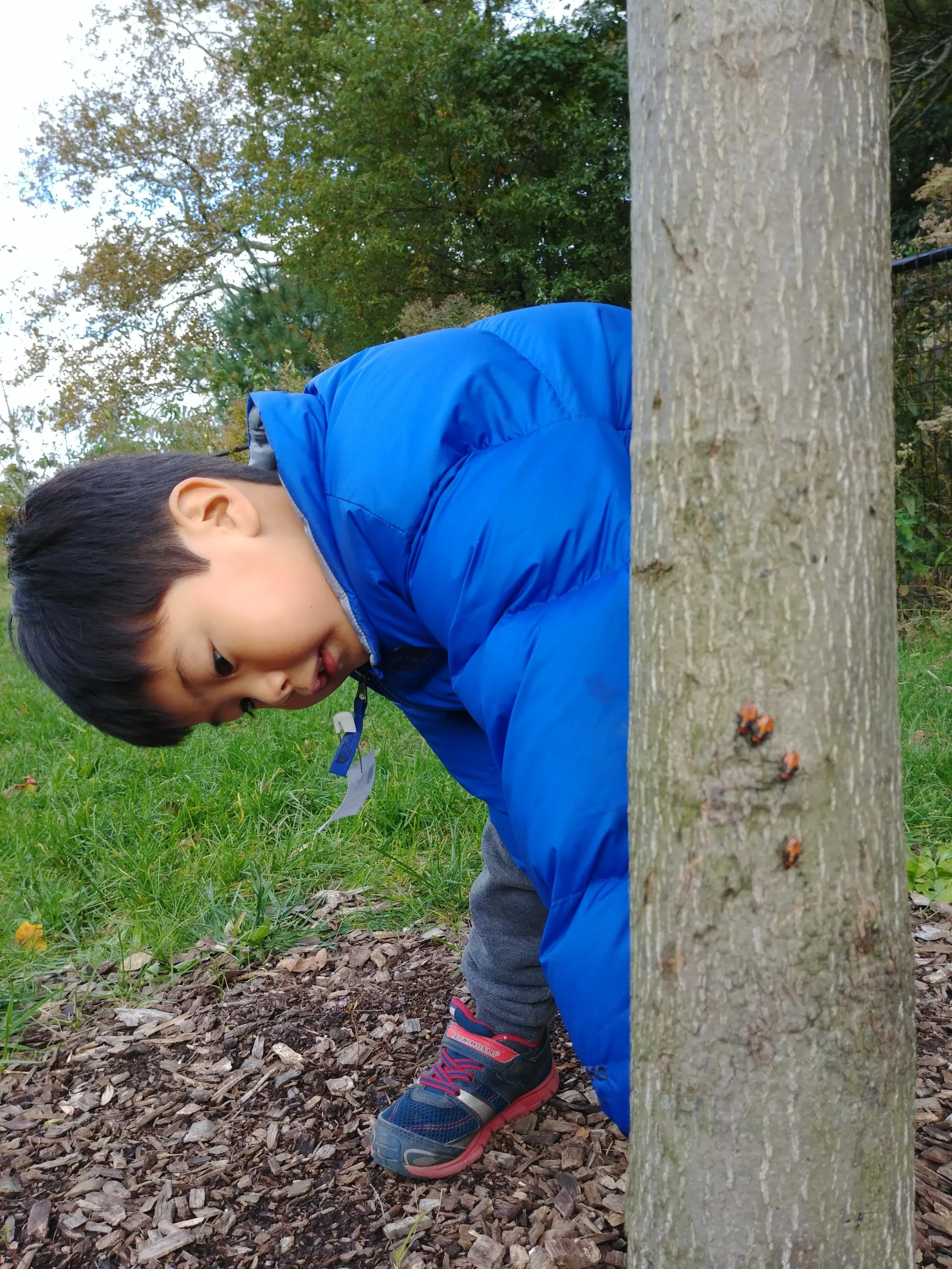 20181029_160348.jpg