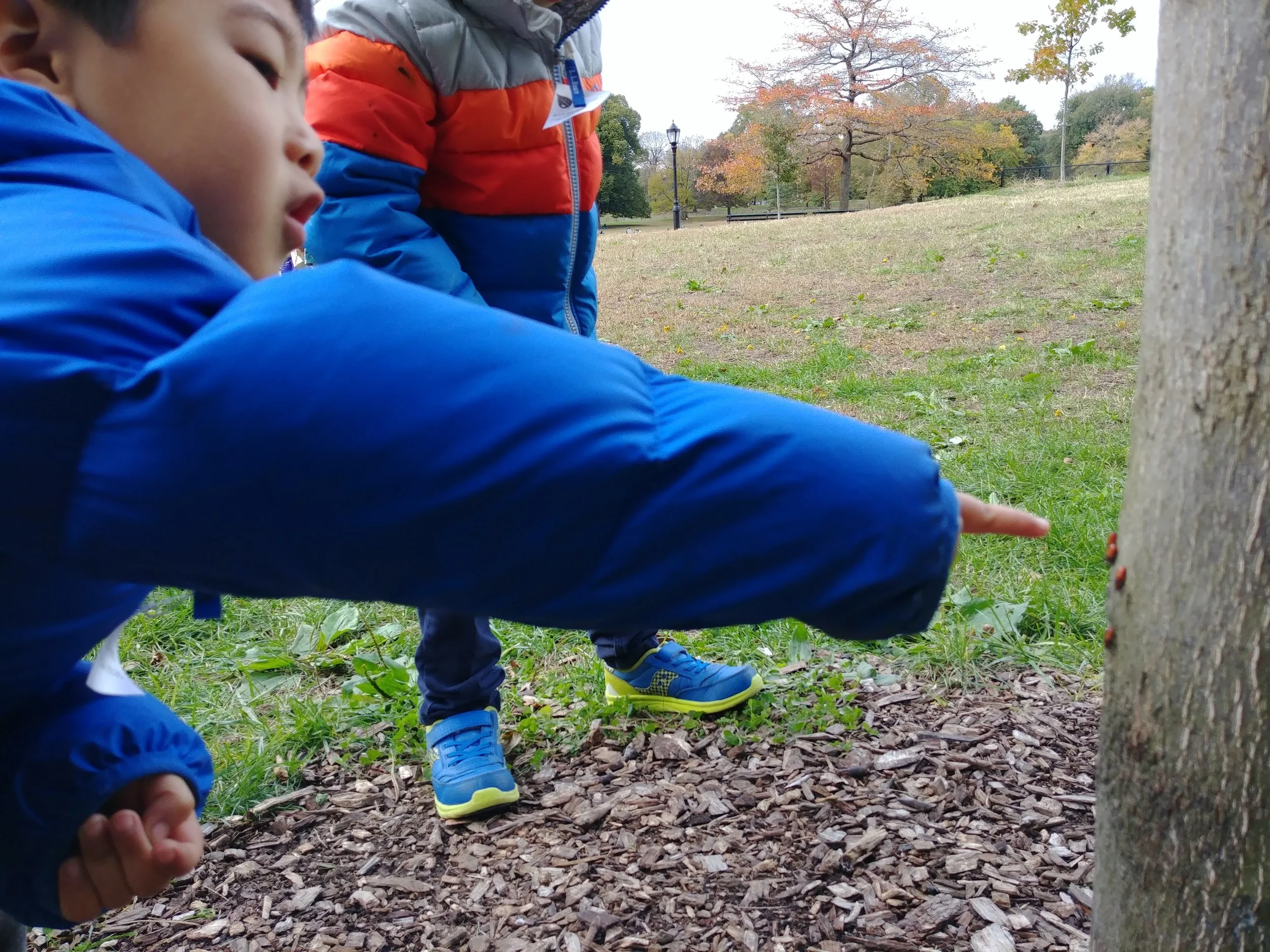 20181029_160320.jpg