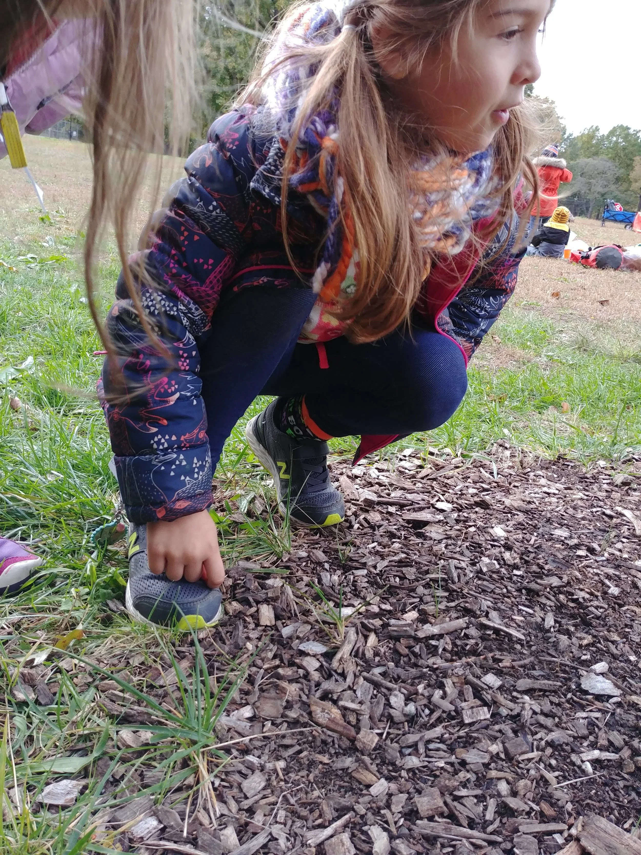 20181029_160337.jpg
