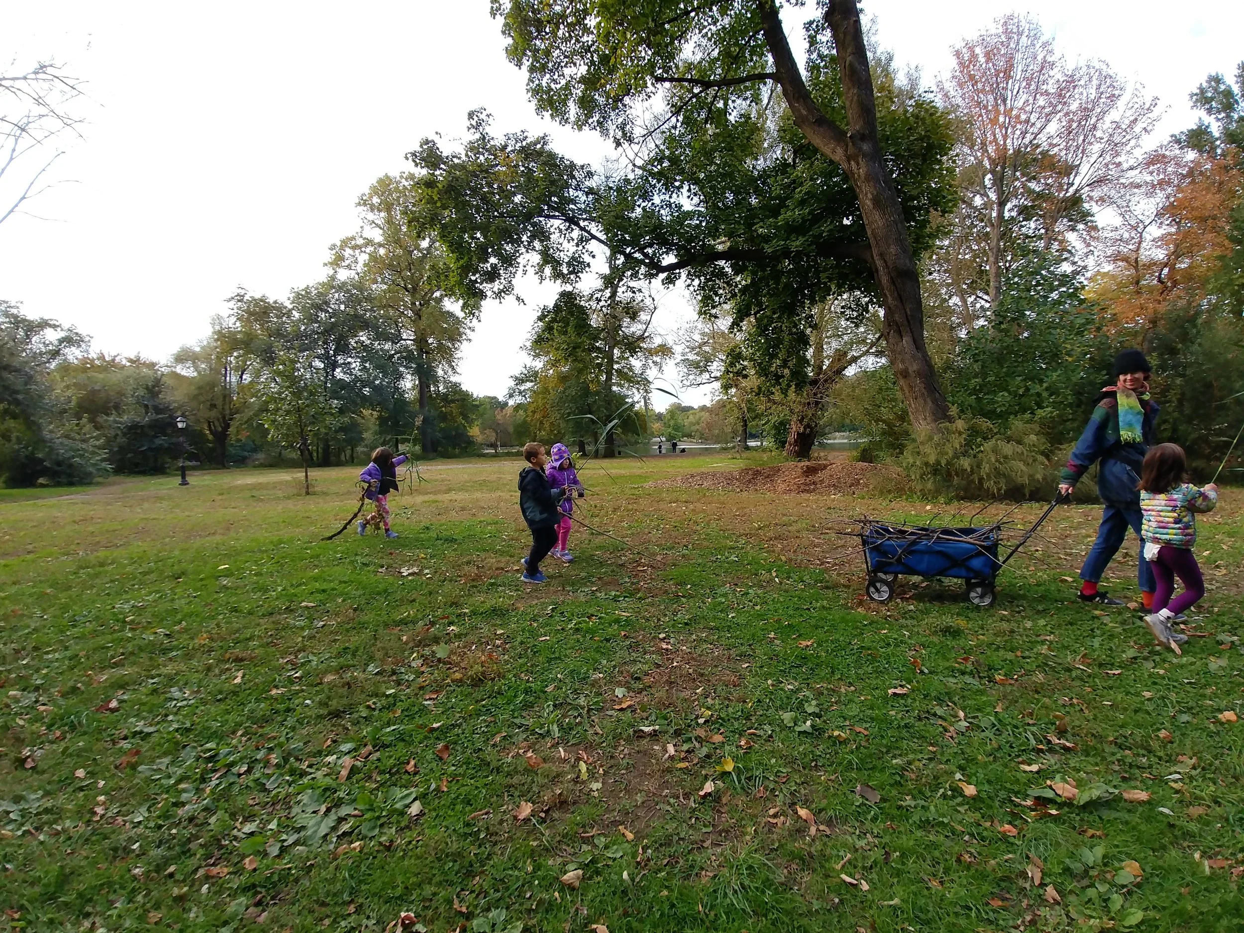 20181026_161411_HDR.jpg