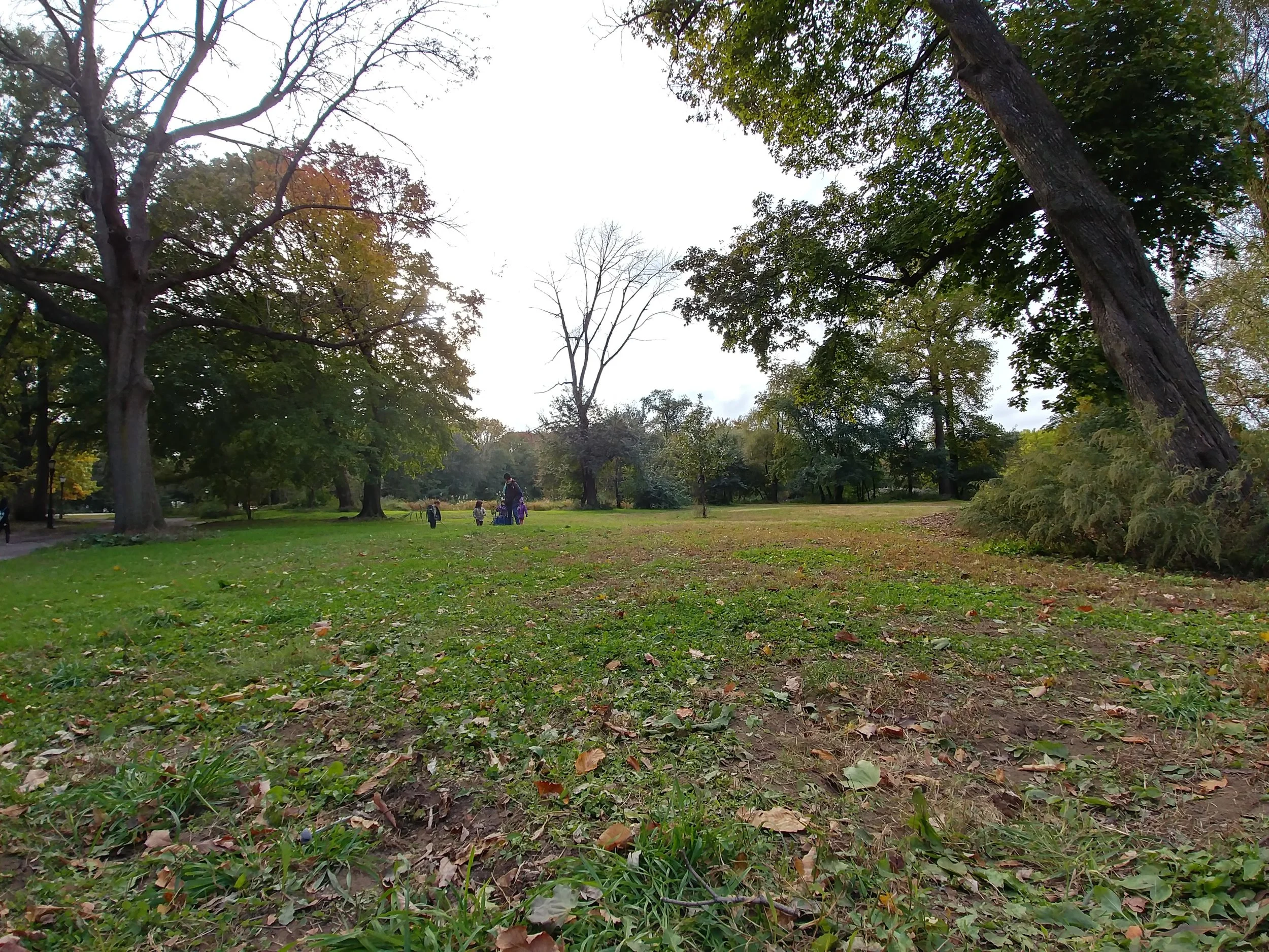 20181026_161357_HDR.jpg