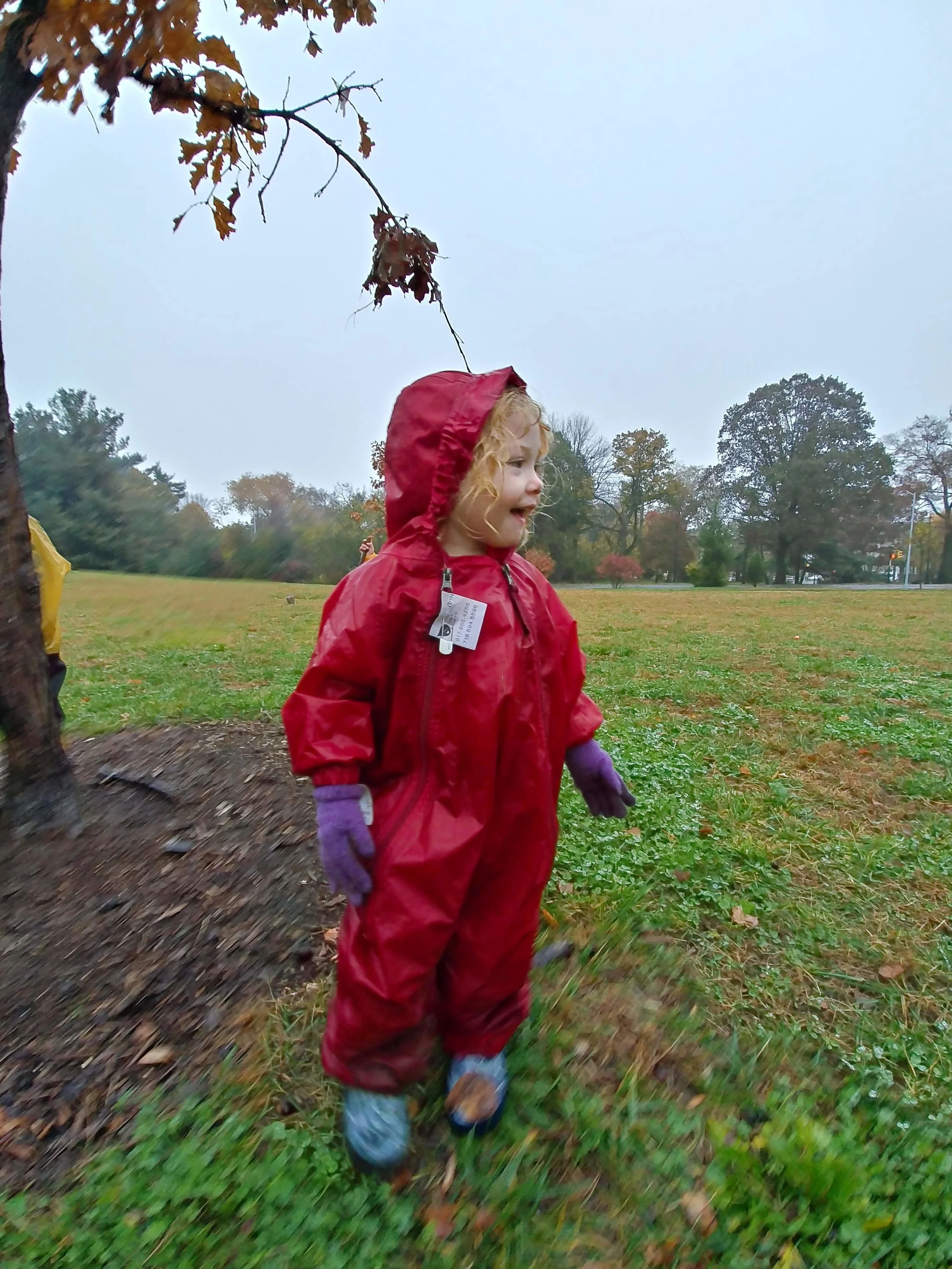 20181106_101657_HDR.jpg