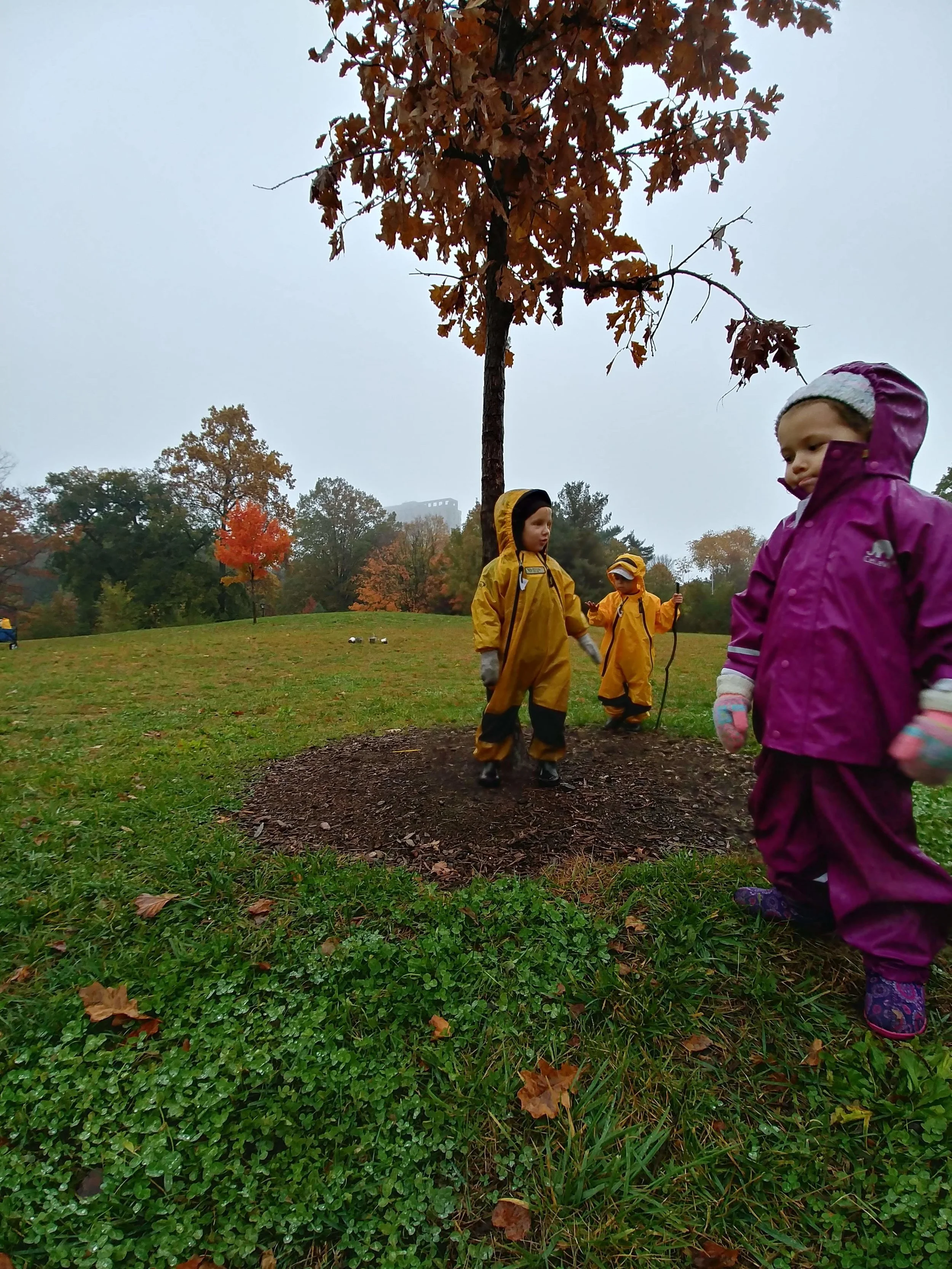 20181106_101607_HDR.jpg