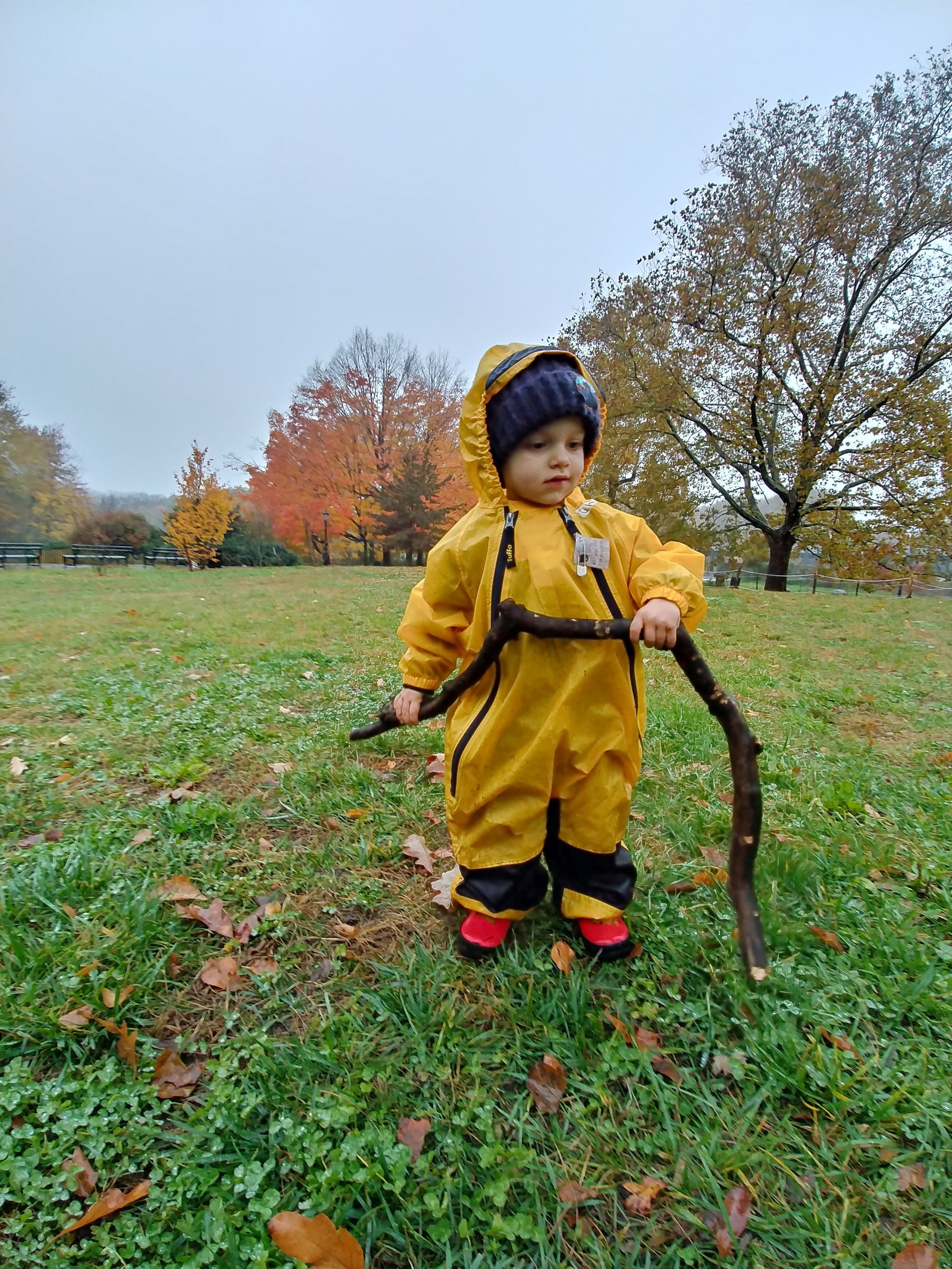 20181106_101634_HDR.jpg