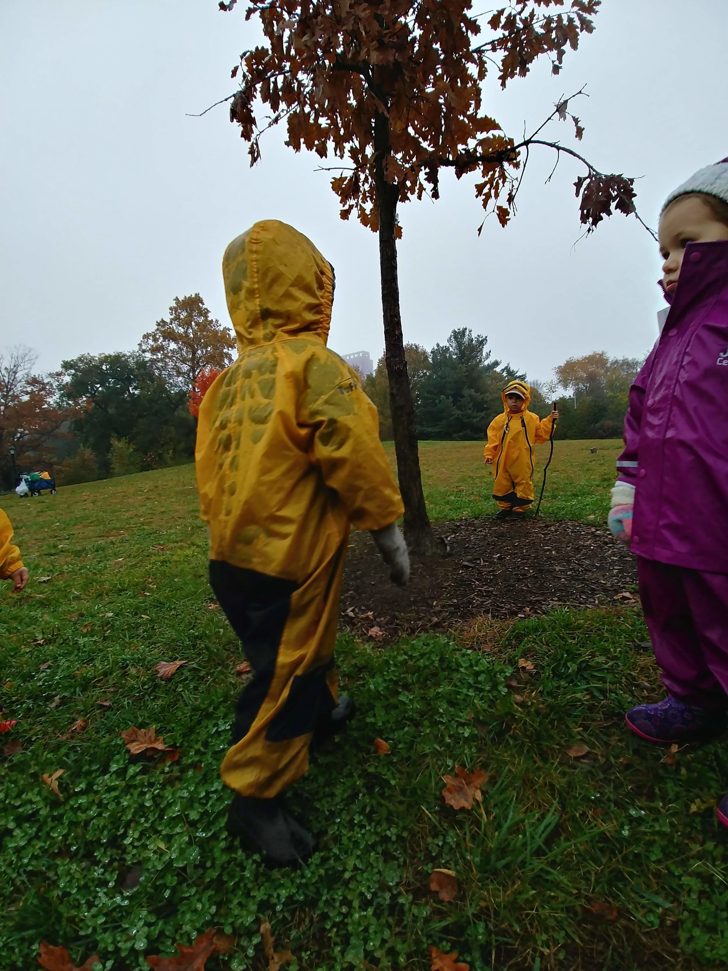 20181106_101603_HDR.jpg