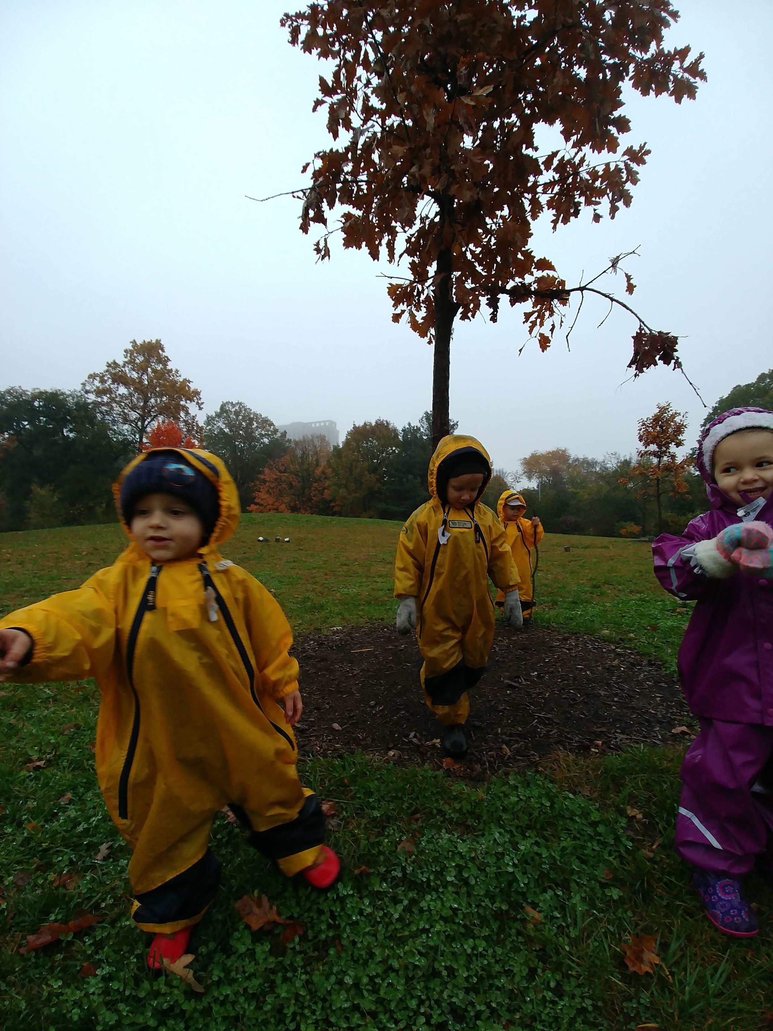 20181106_101557_HDR.jpg