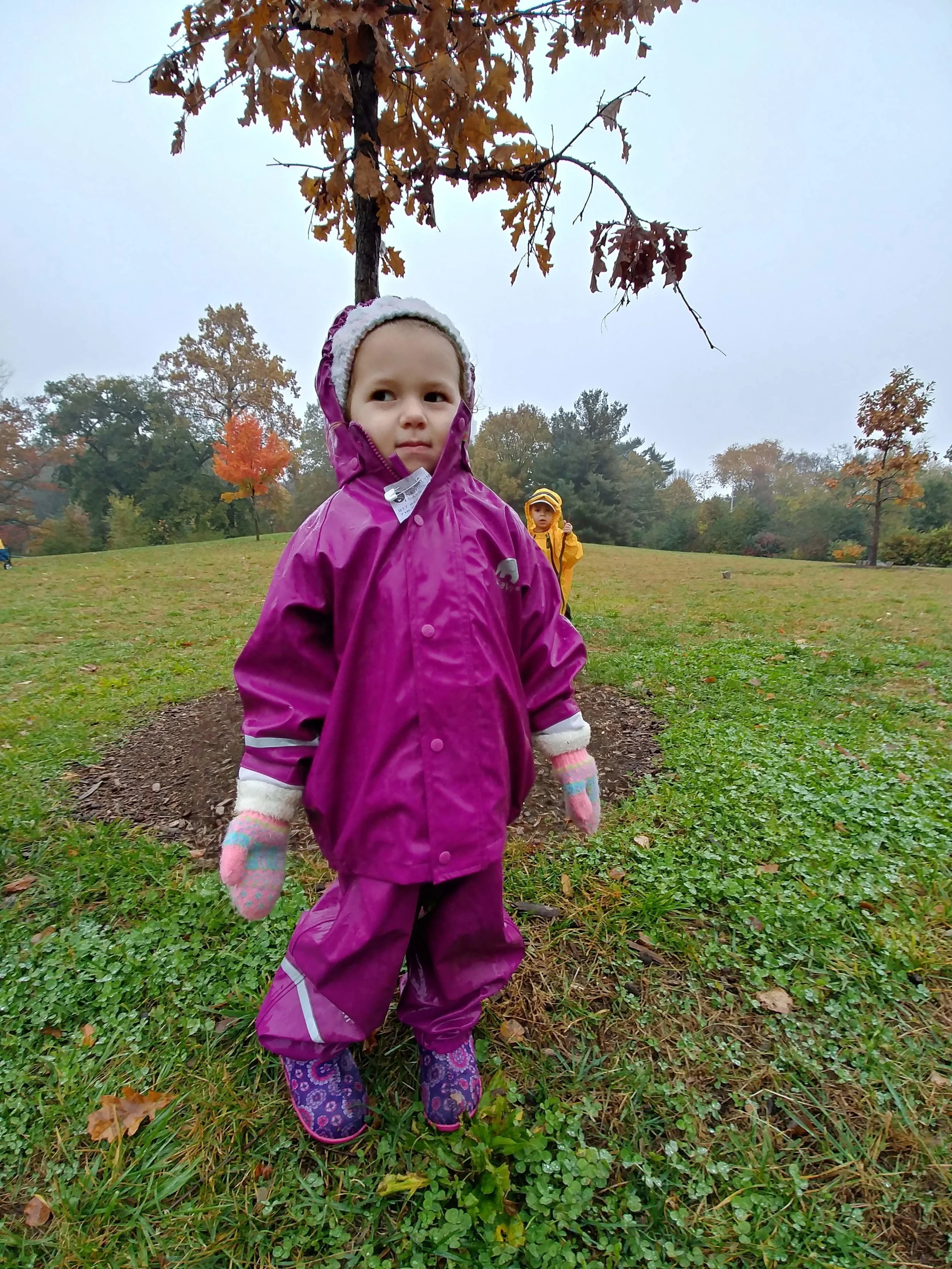 20181106_101552_HDR.jpg