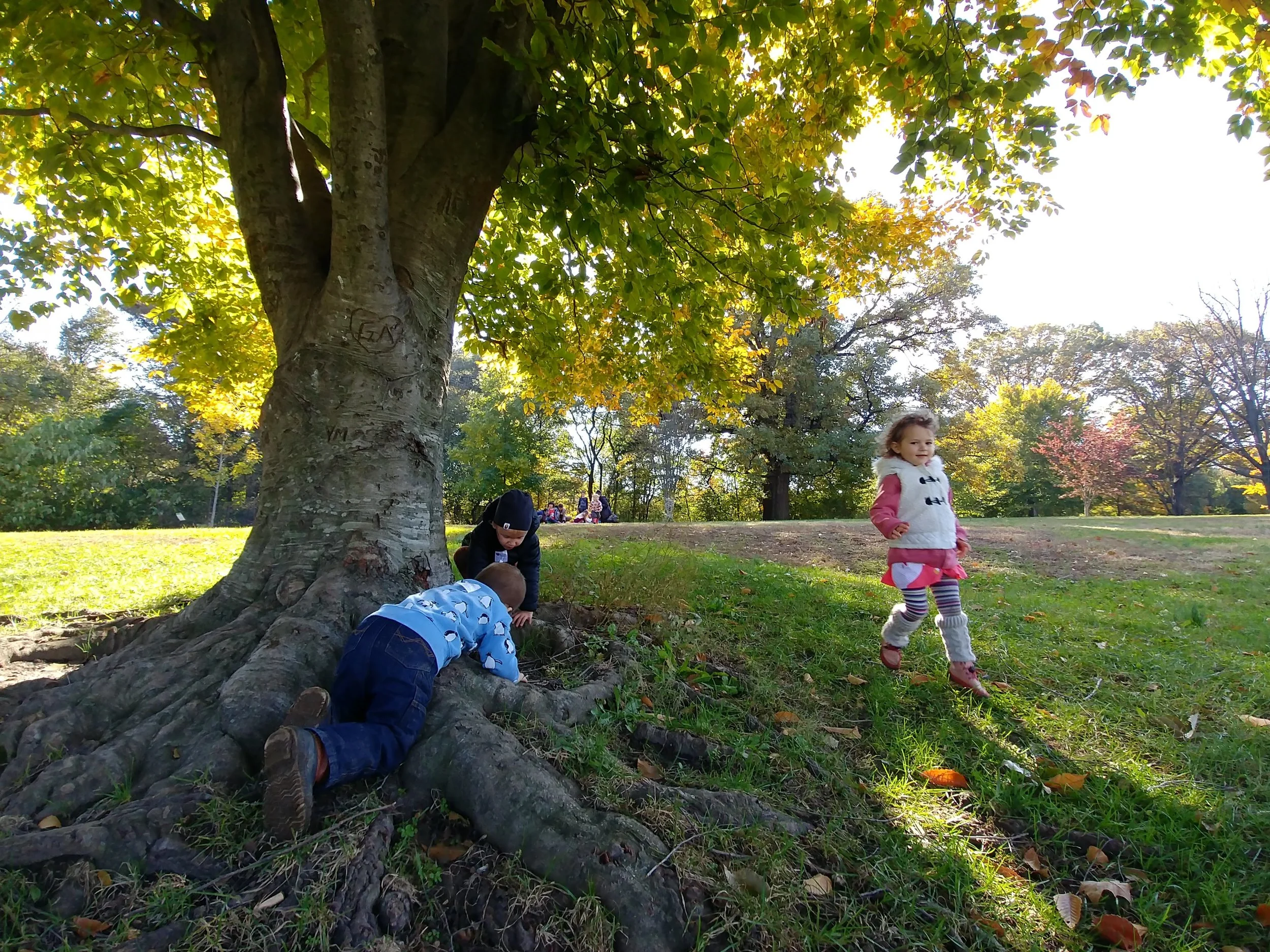 20181101_114023_HDR.jpg