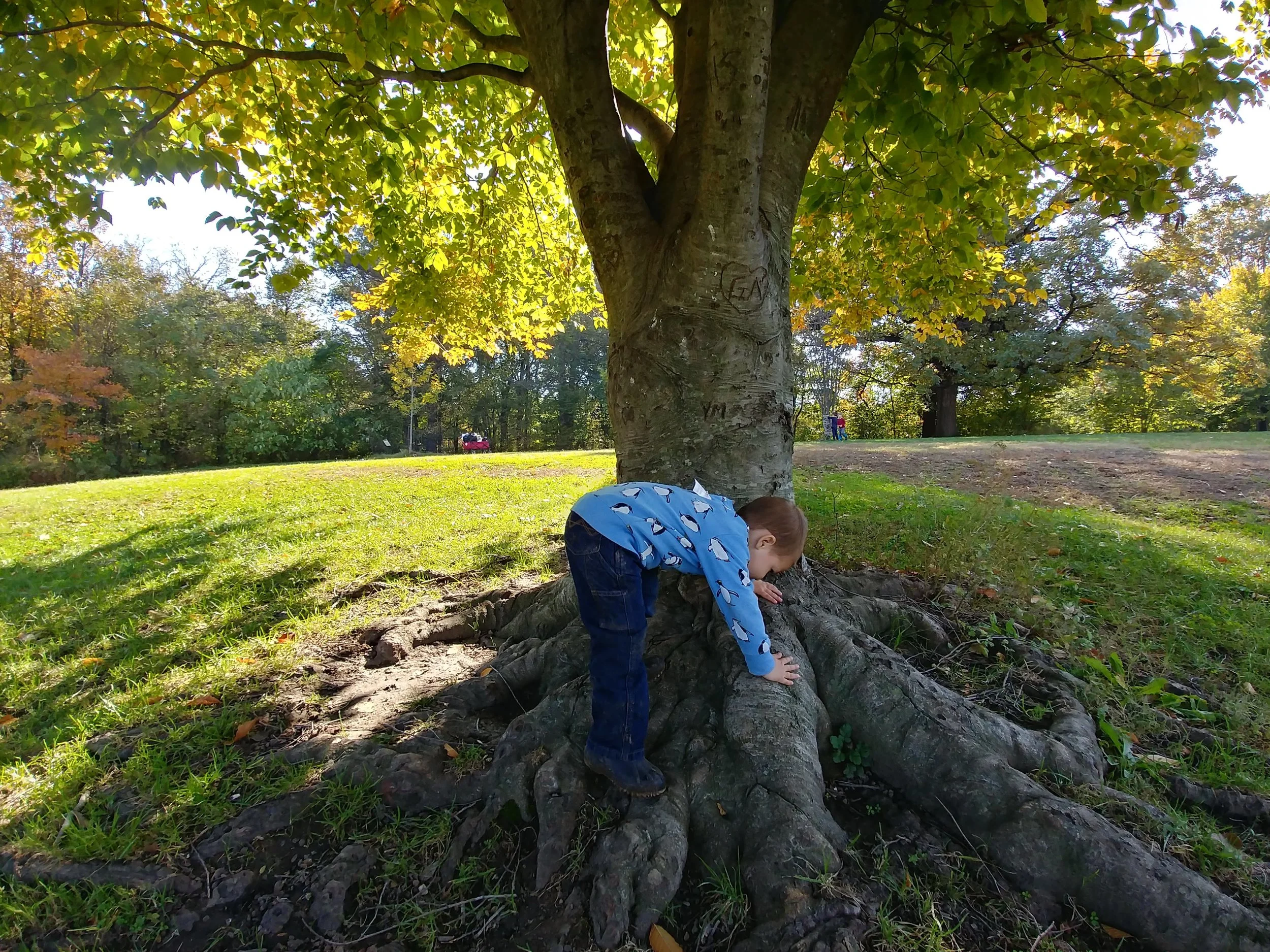 20181101_113958_HDR.jpg
