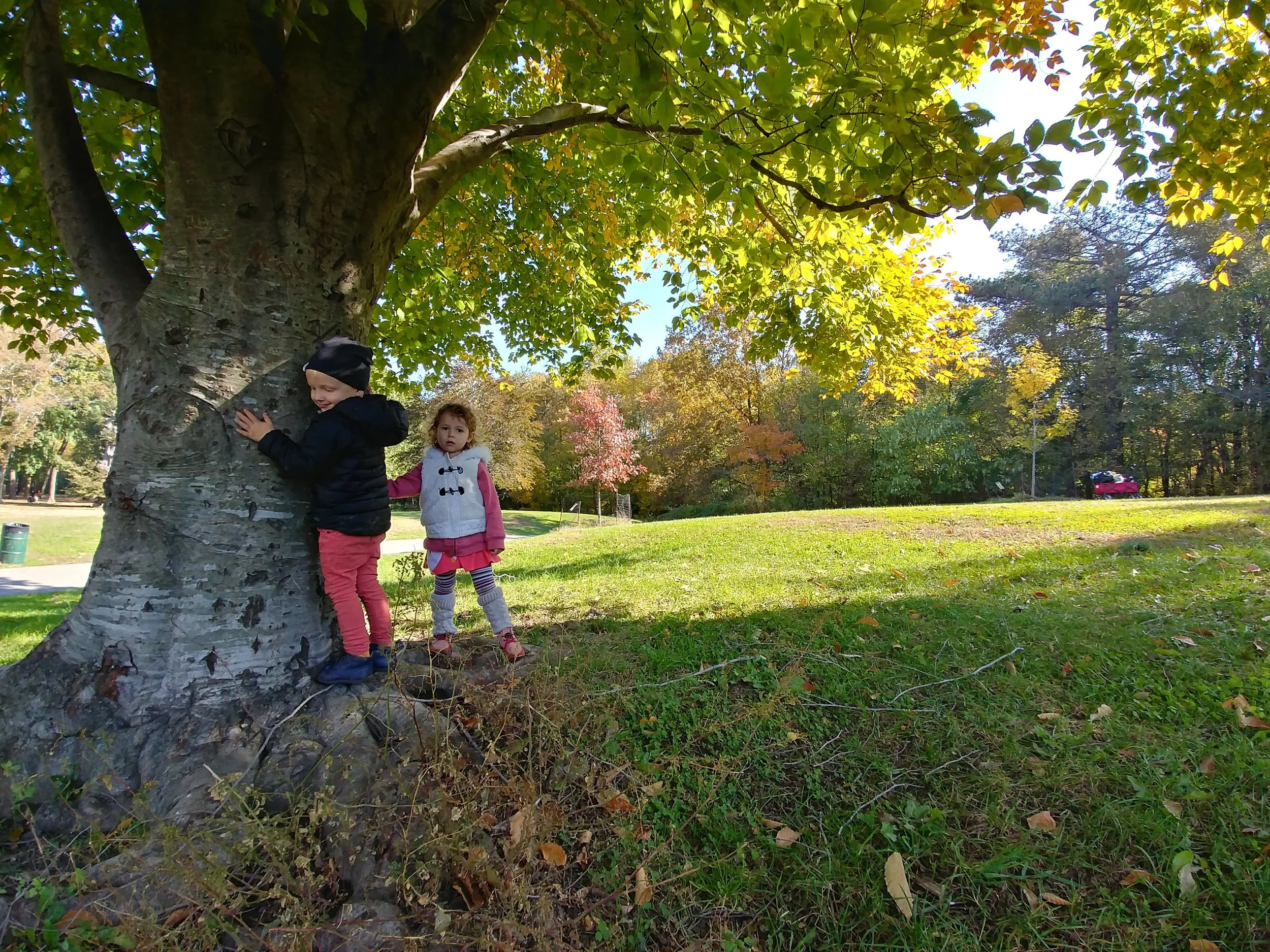 20181101_113933_HDR.jpg