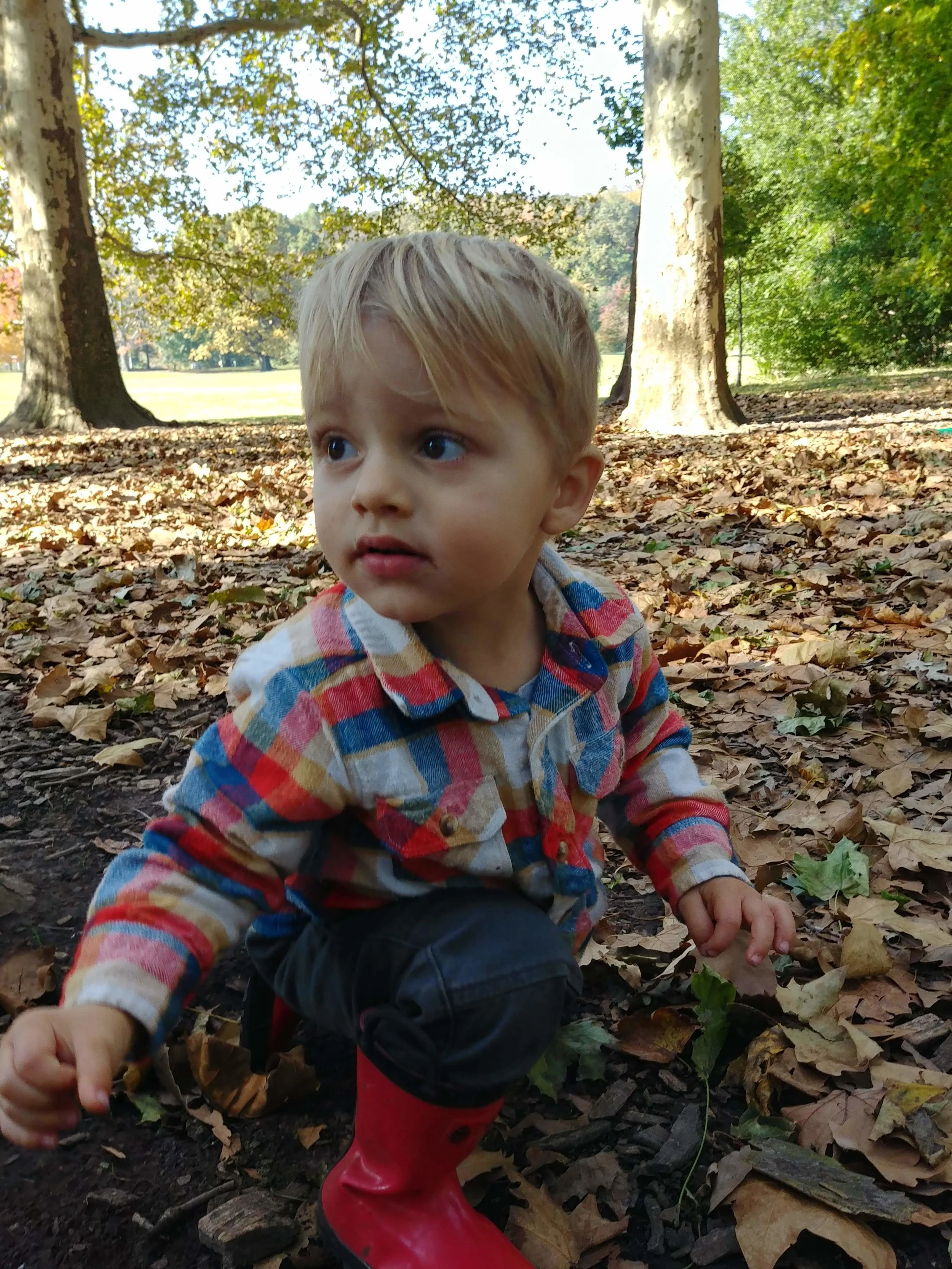 20181101_105927_HDR.jpg