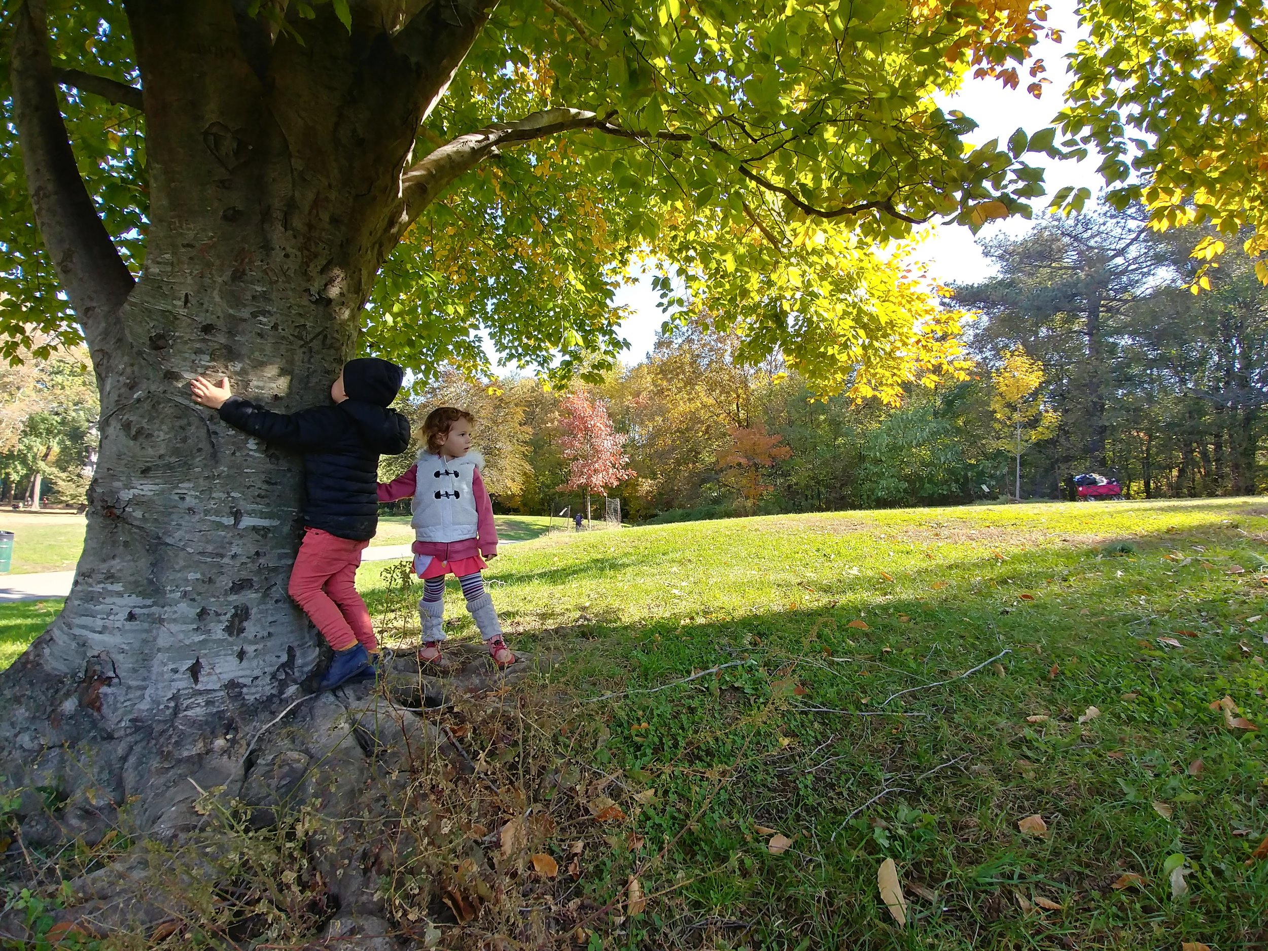 20181101_113930_HDR.jpg