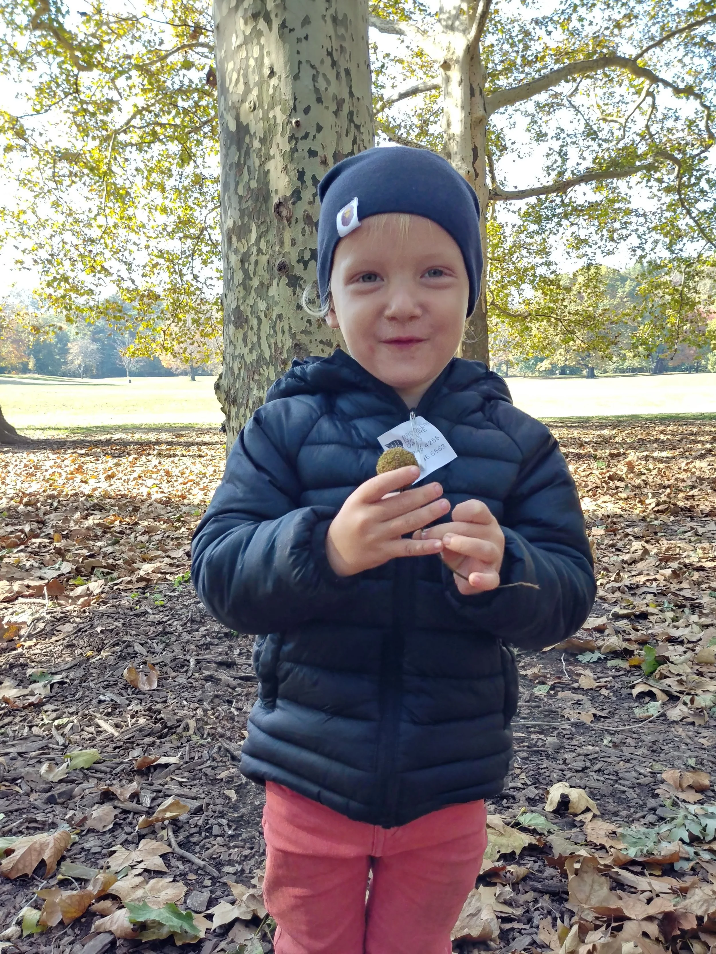 20181101_105840_HDR.jpg