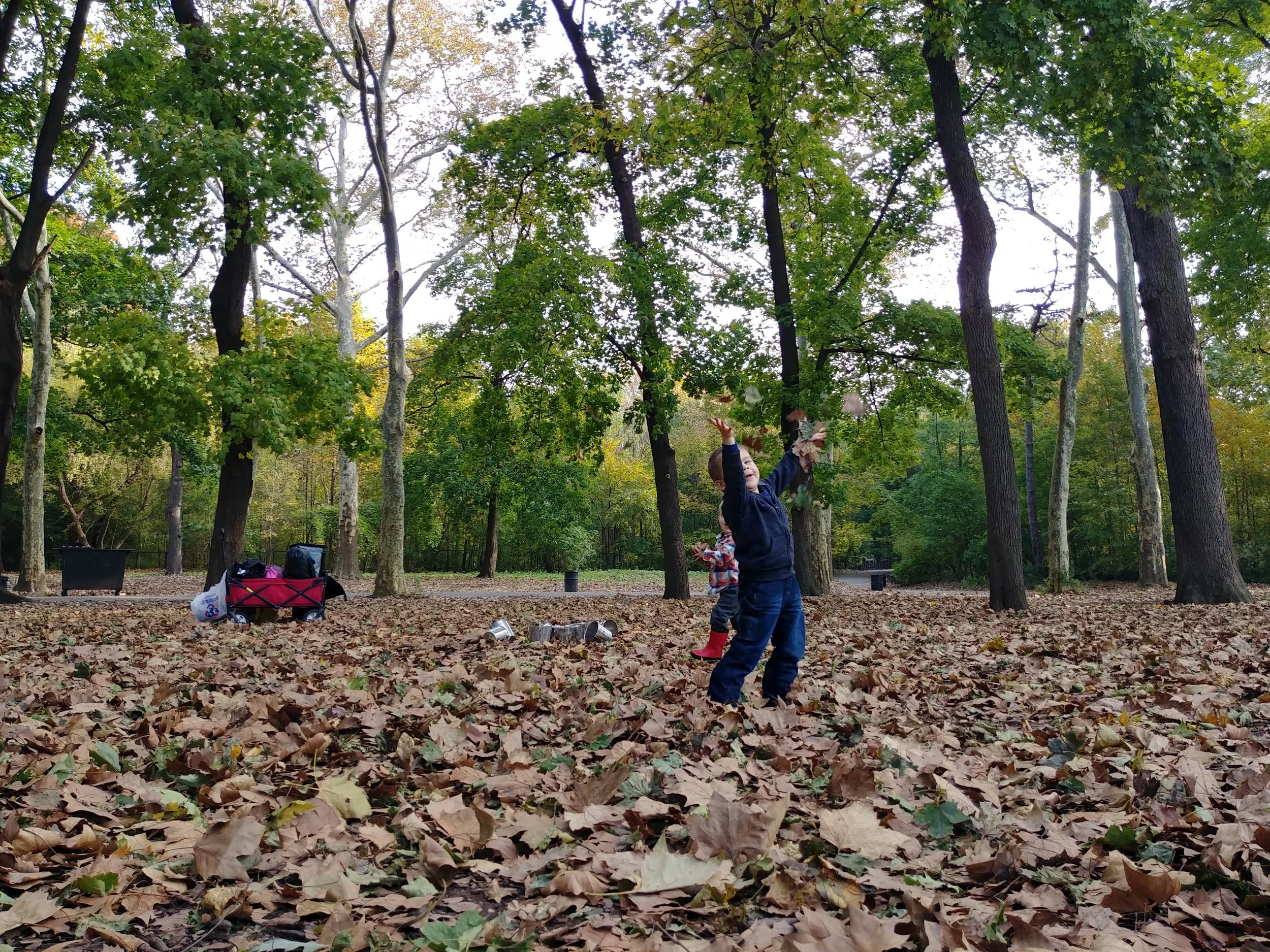 20181101_100119_HDR.jpg