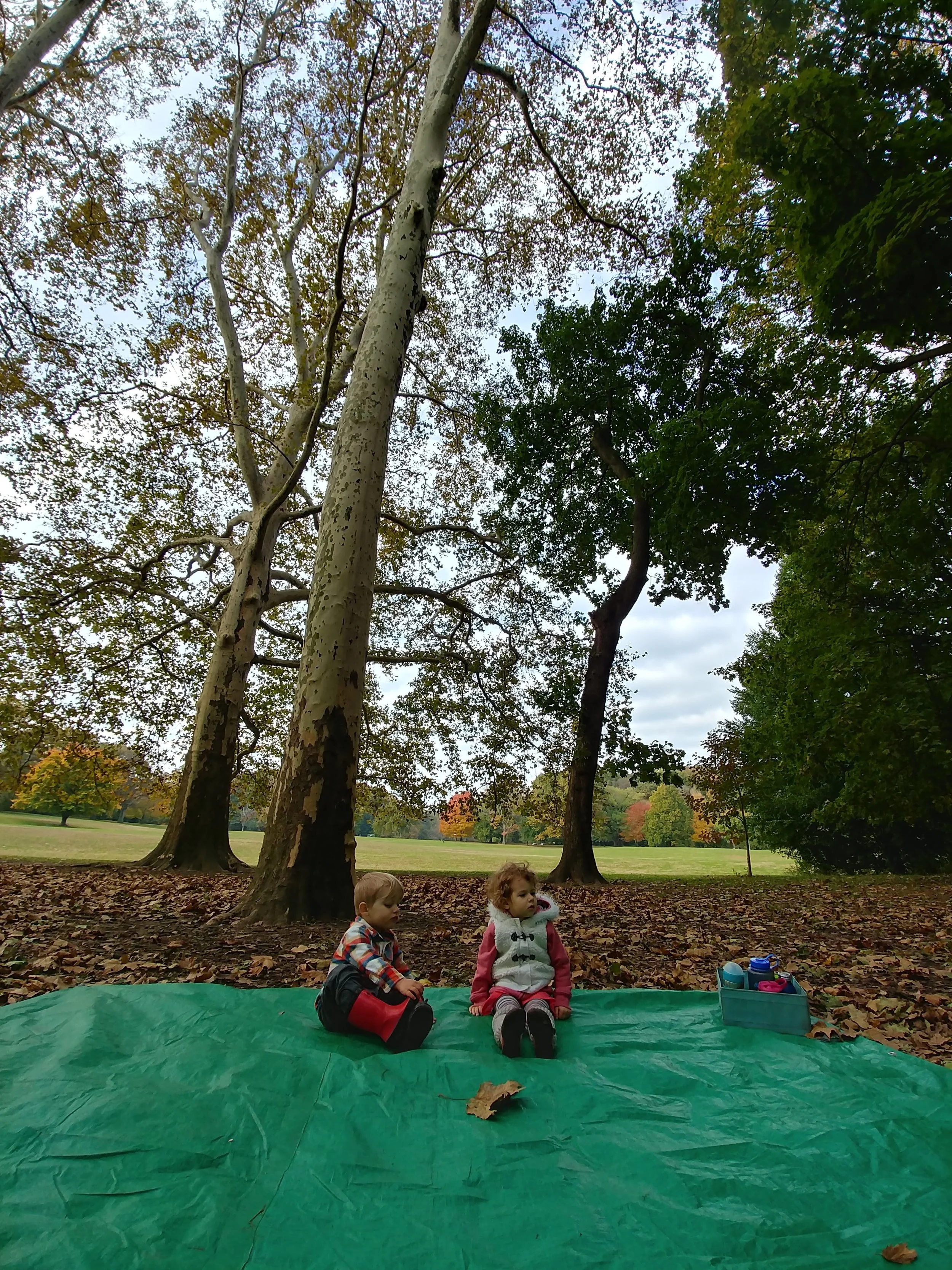 20181101_094545_HDR.jpg