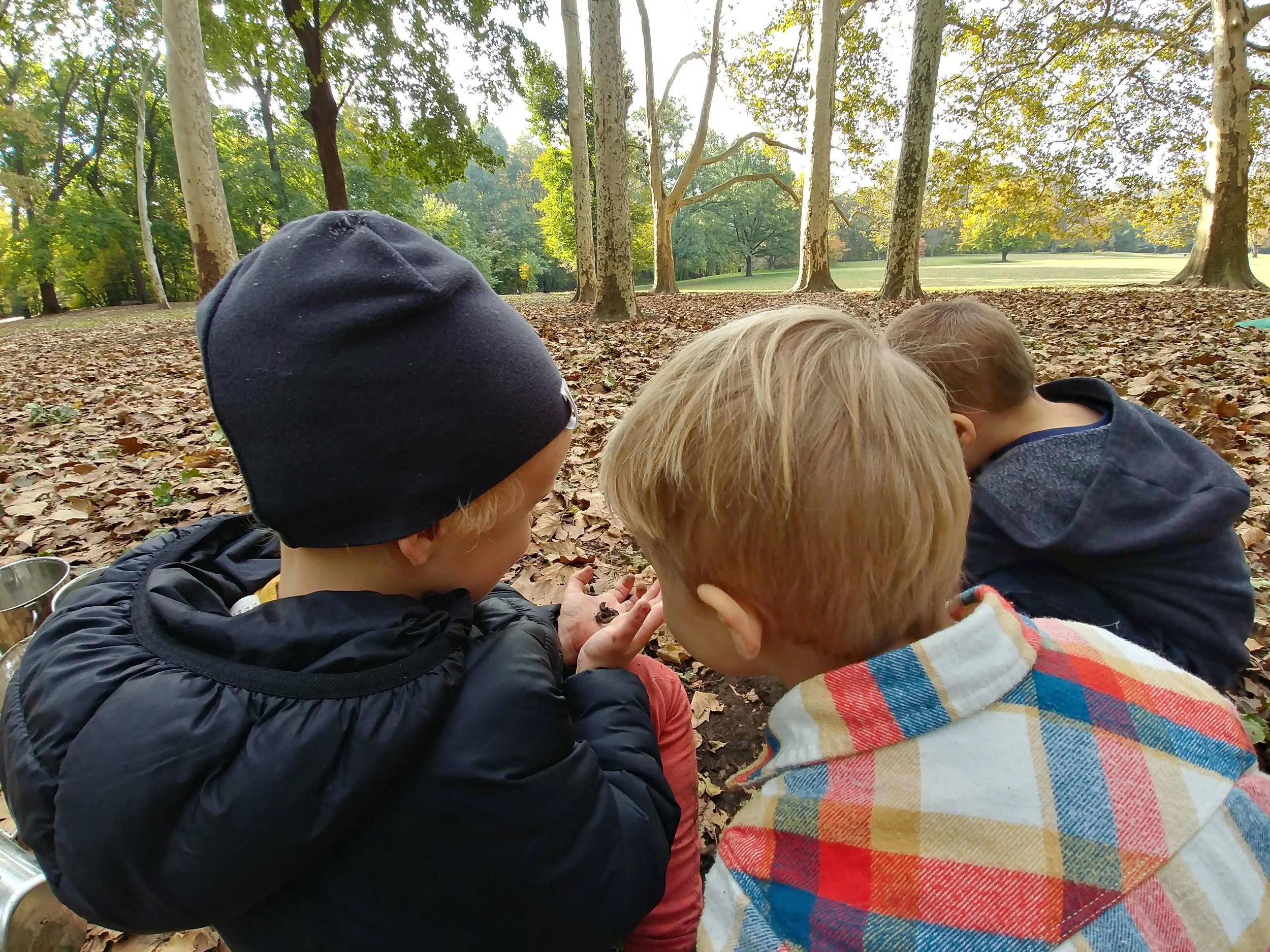 20181101_094232_HDR.jpg