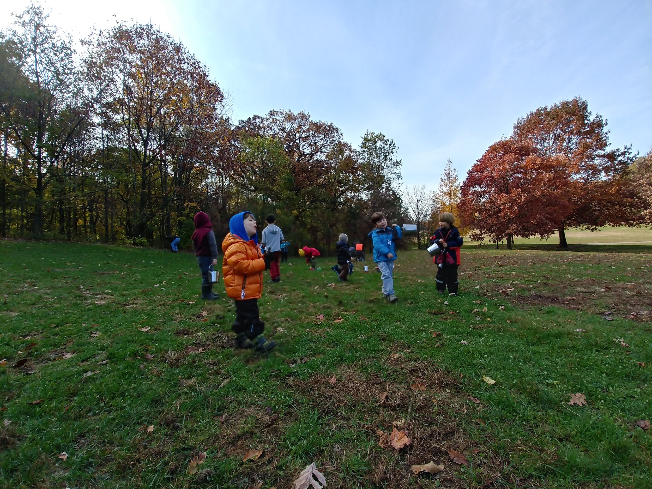 20181112_094724_HDR.jpg