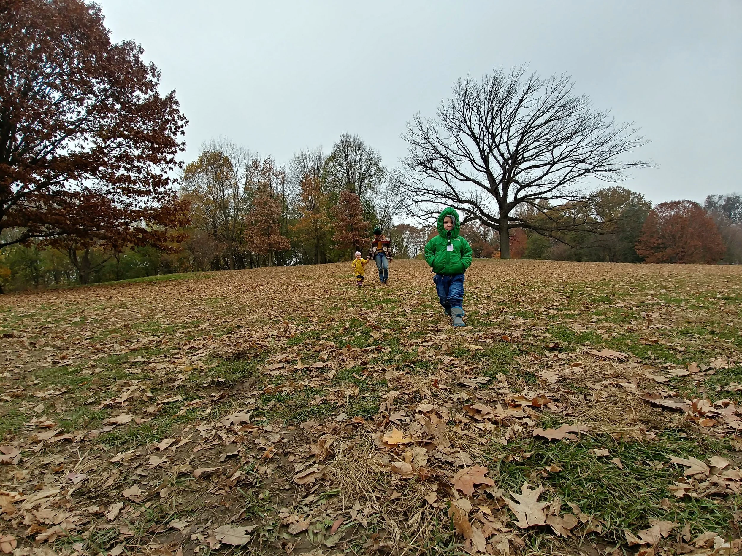 20181119_095501_HDR.jpg