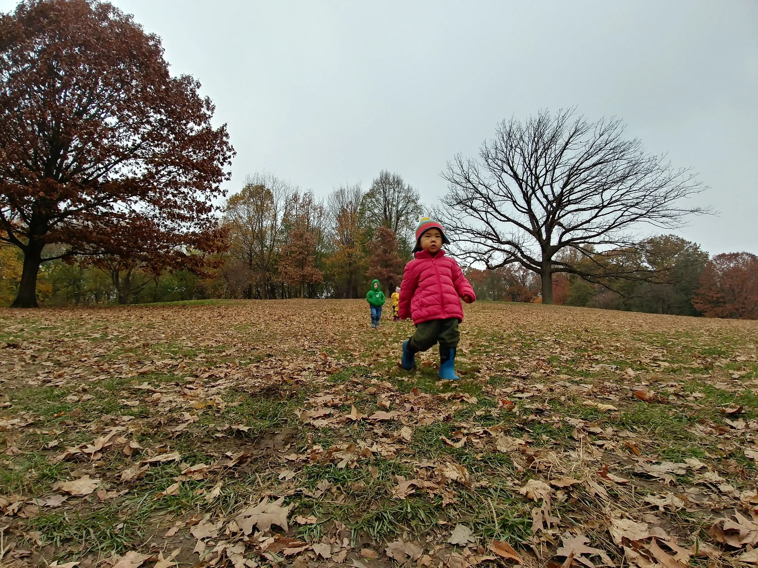 20181119_095456_HDR.jpg