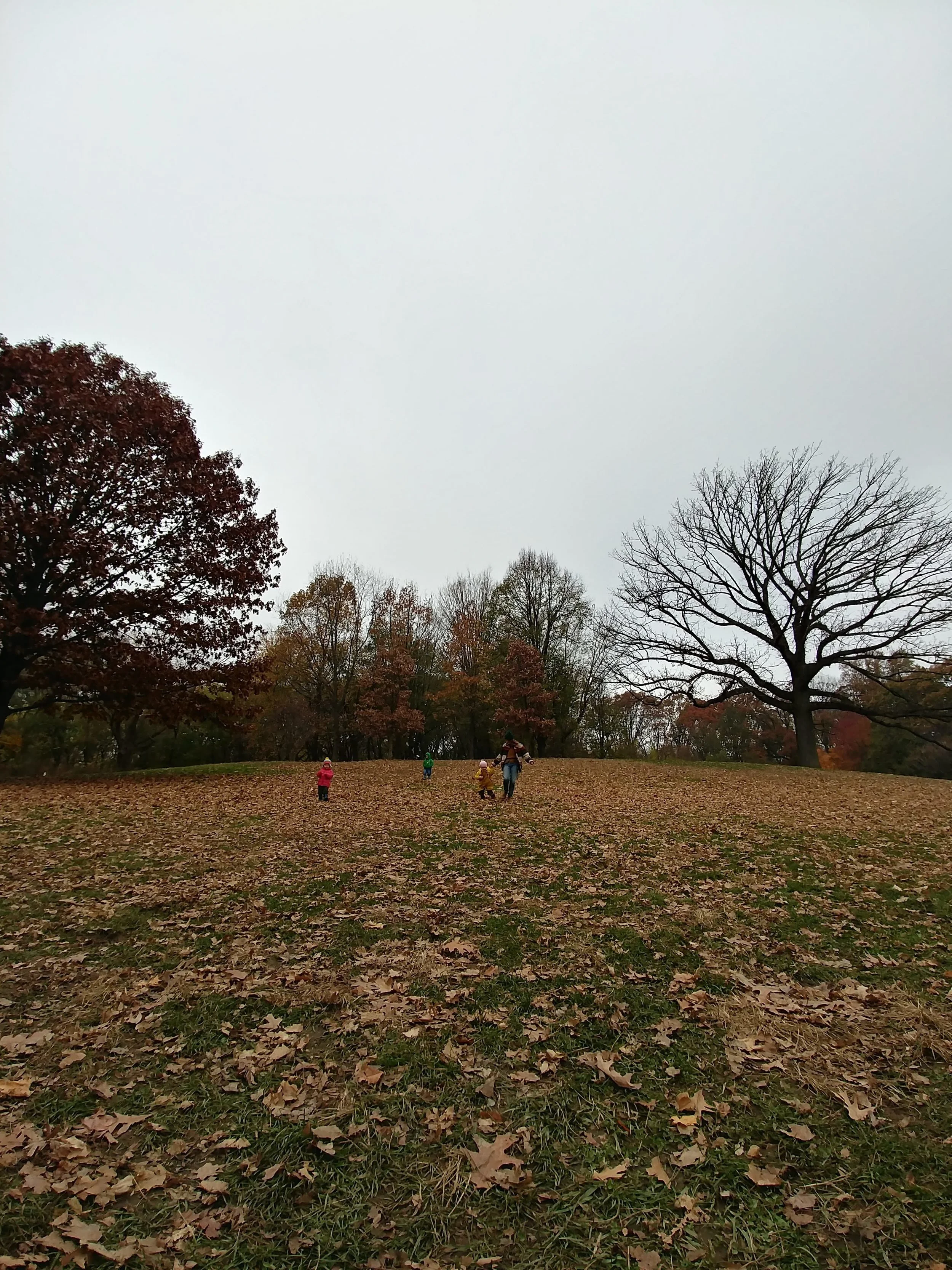 20181119_095442_HDR.jpg