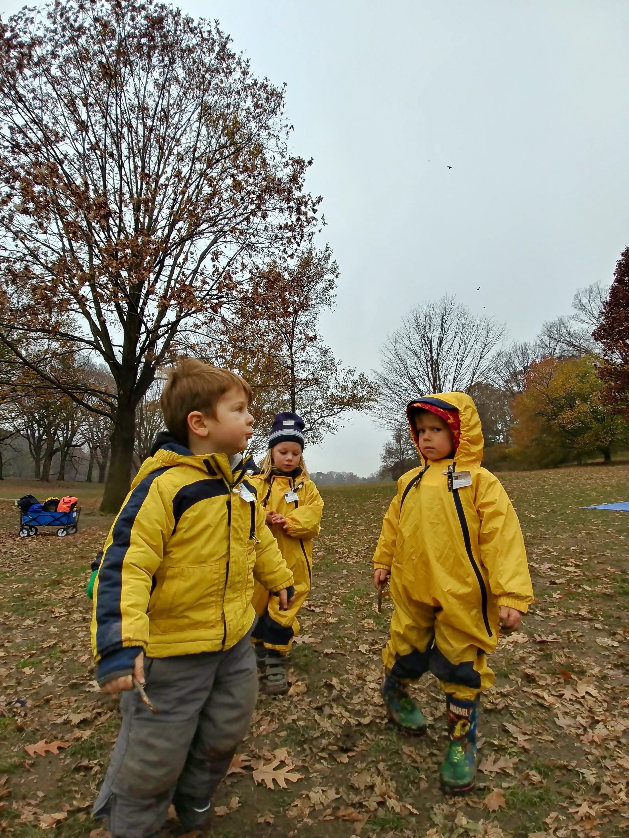 20181119_095354_HDR.jpg