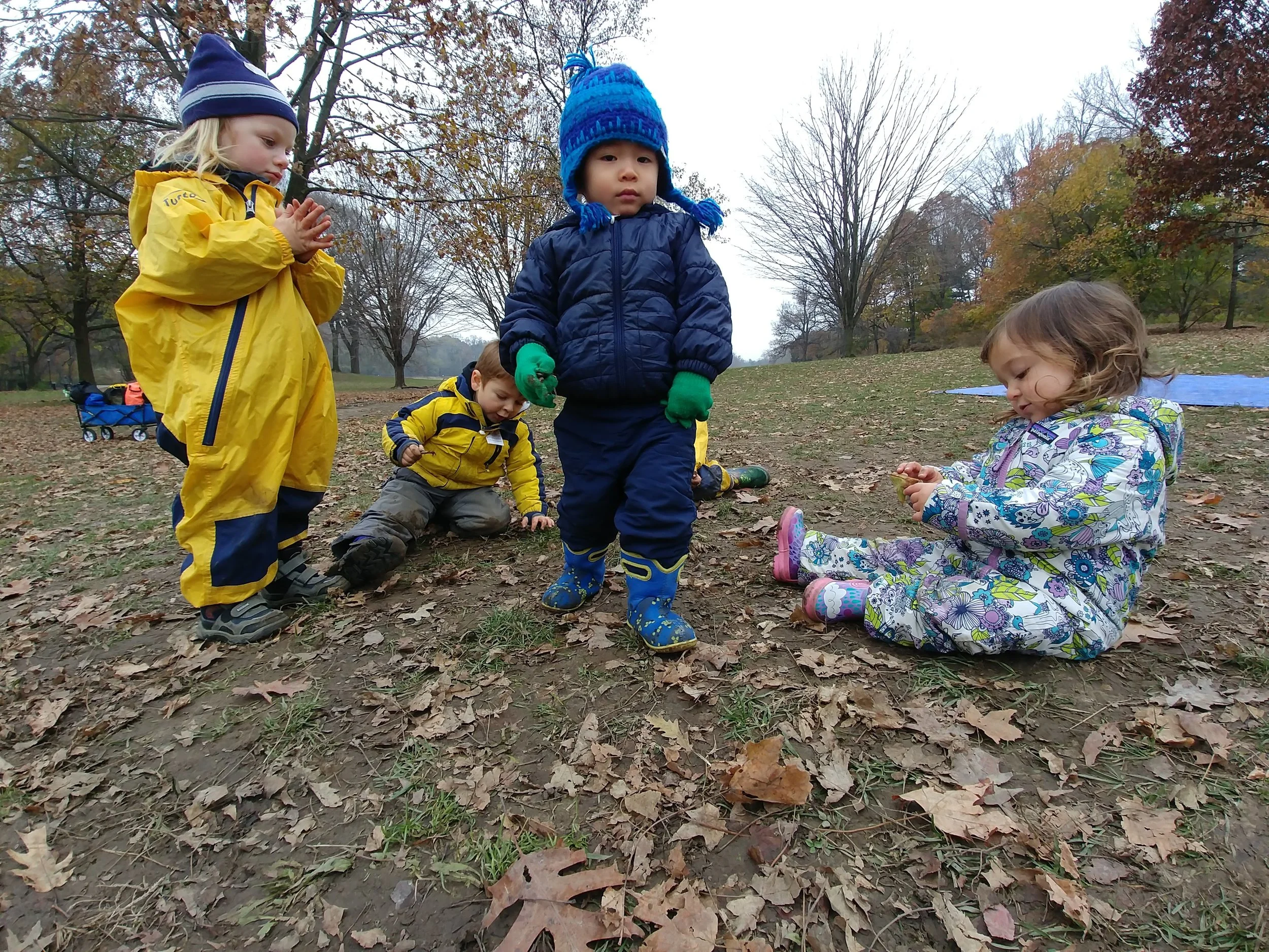 20181119_095314.jpg