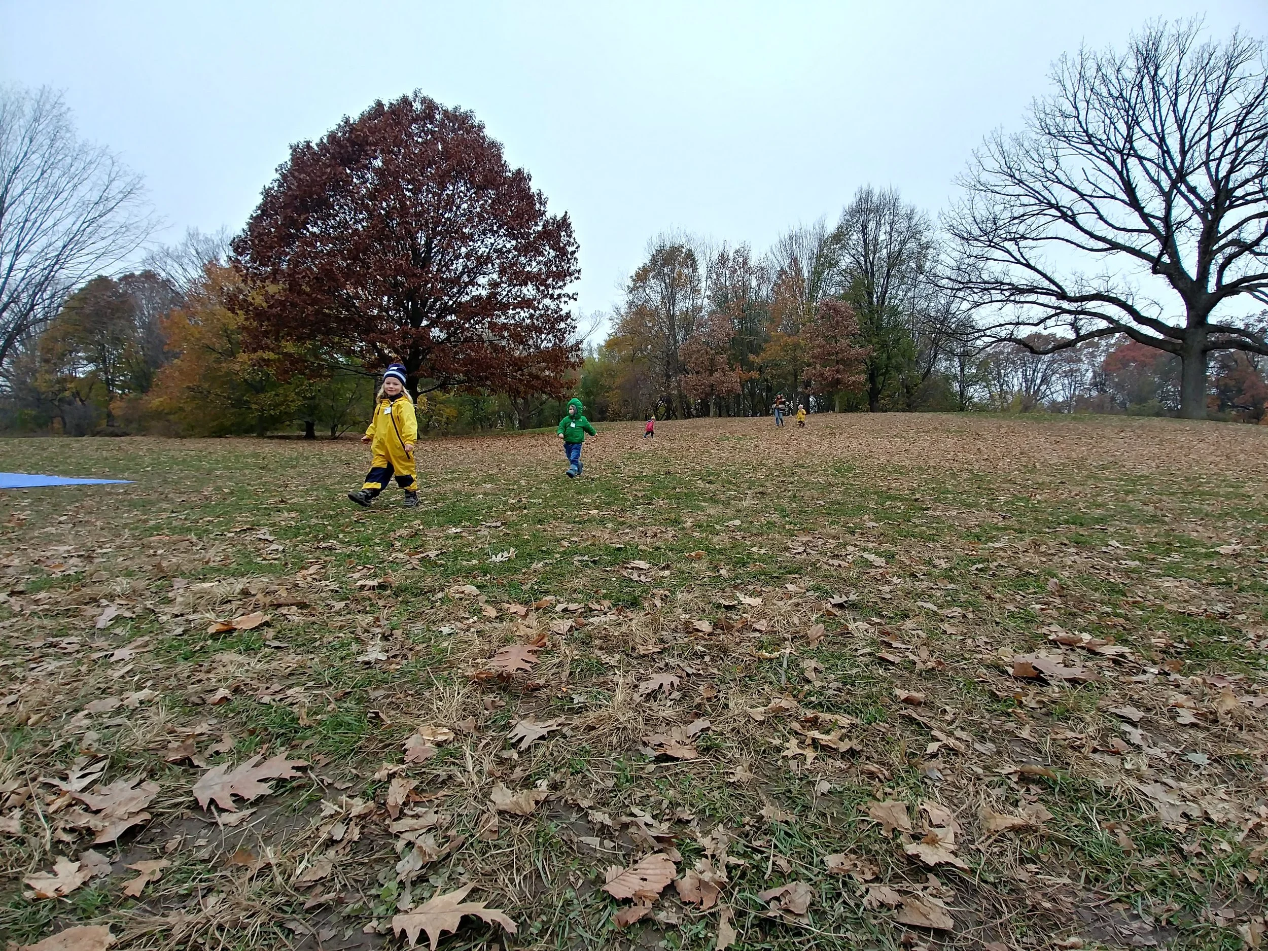20181119_095200_HDR.jpg