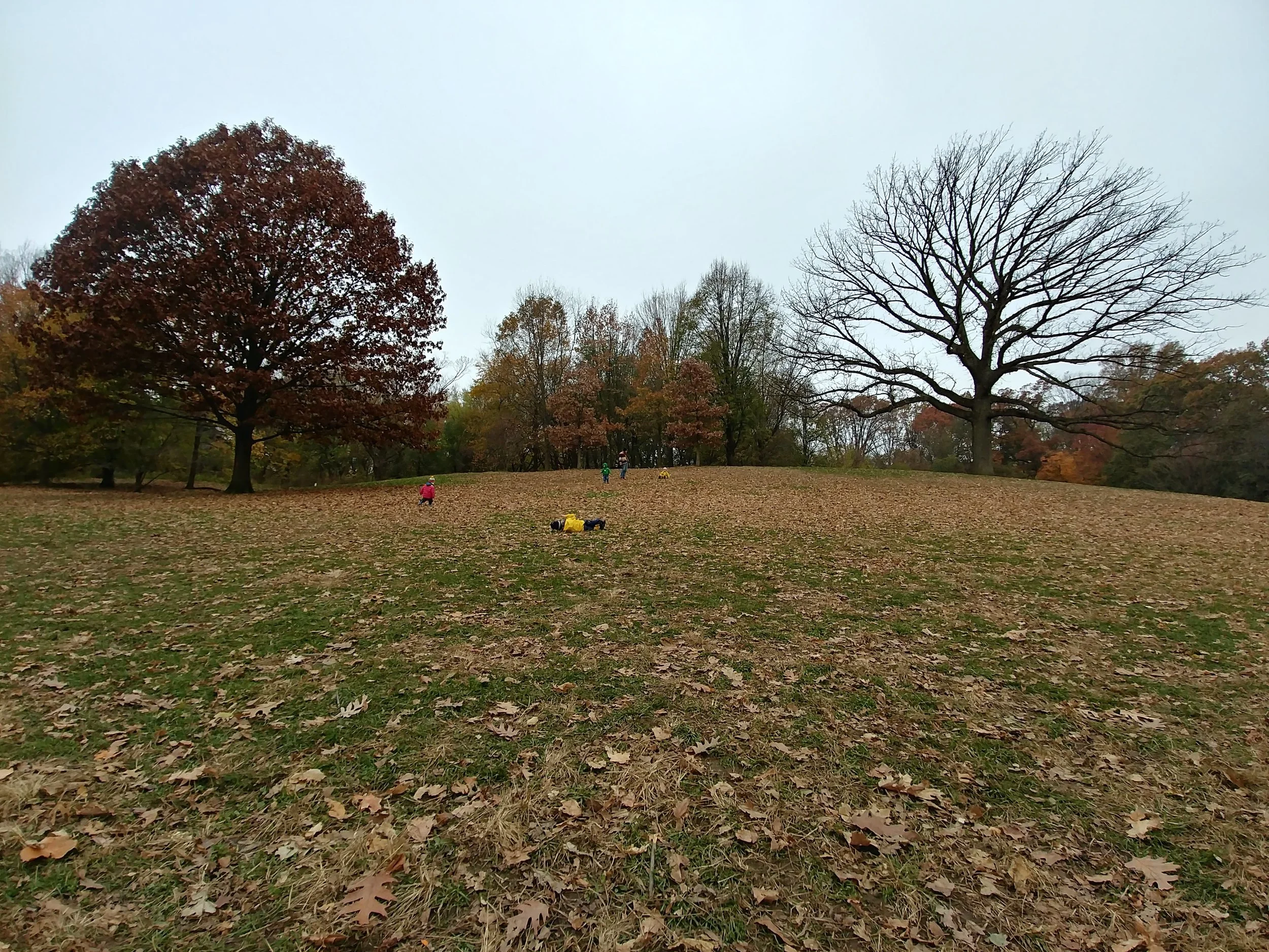20181119_095151_HDR.jpg