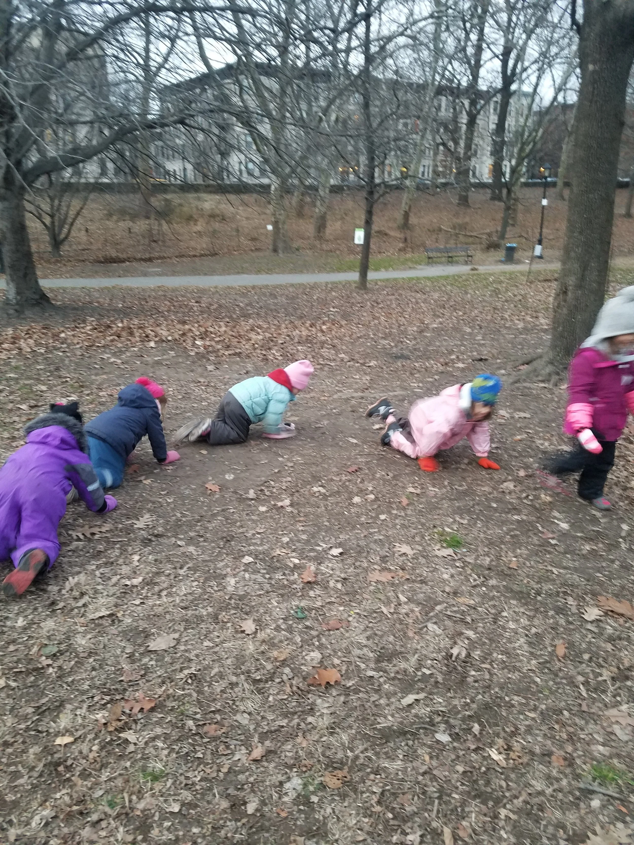 20181206_163321.jpg