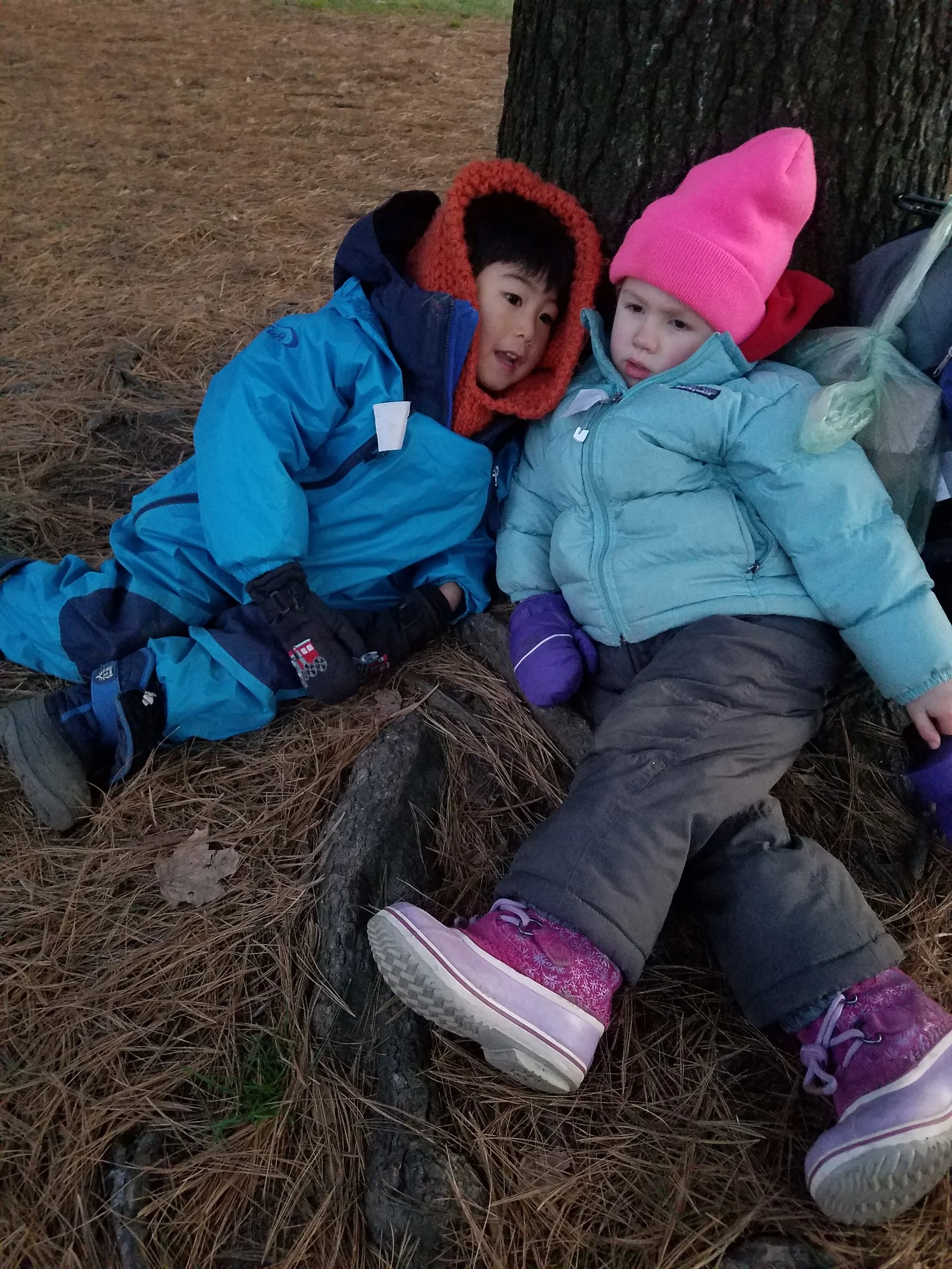 20181207_164452.jpg
