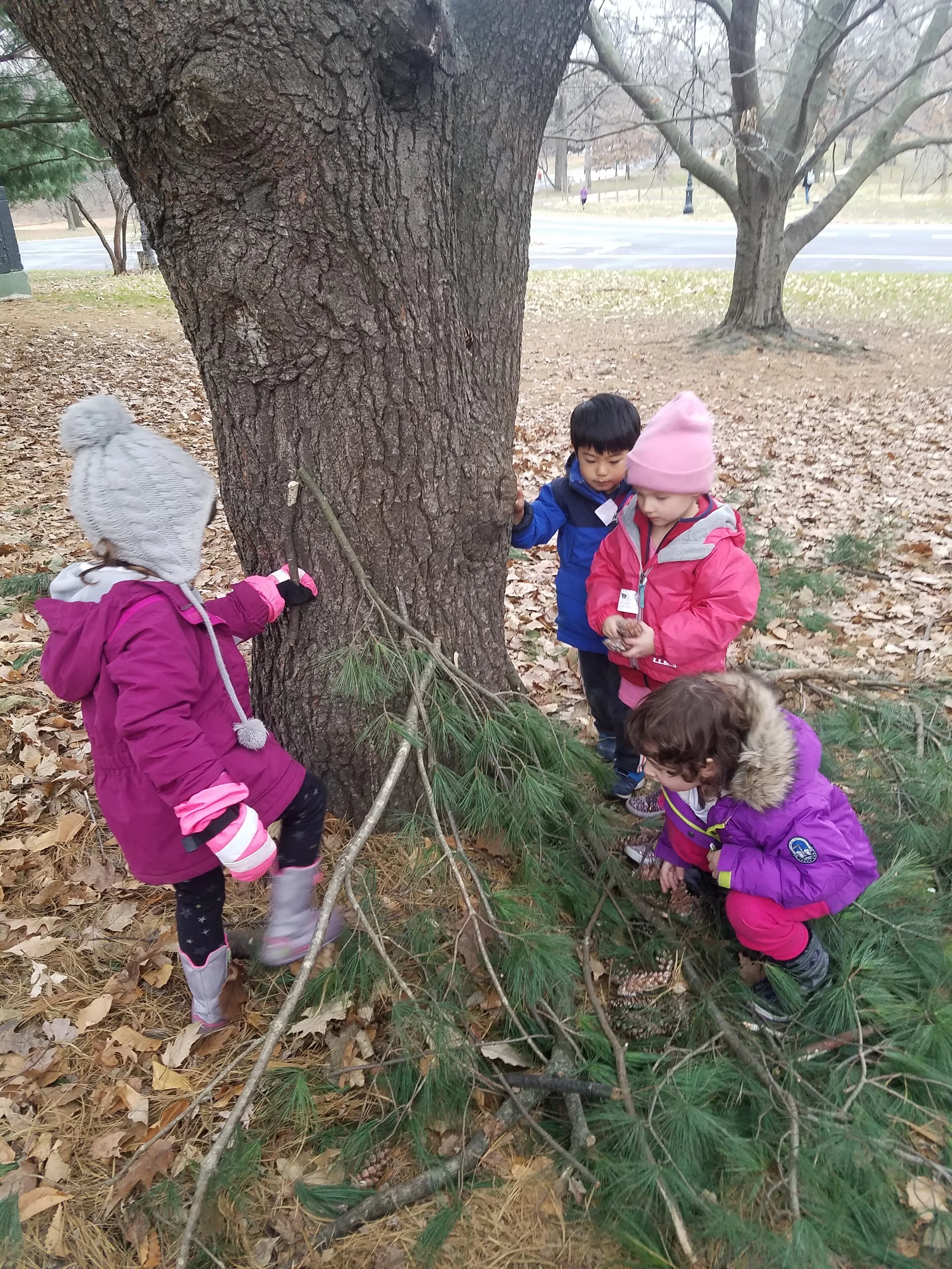 20181214_154211.jpg