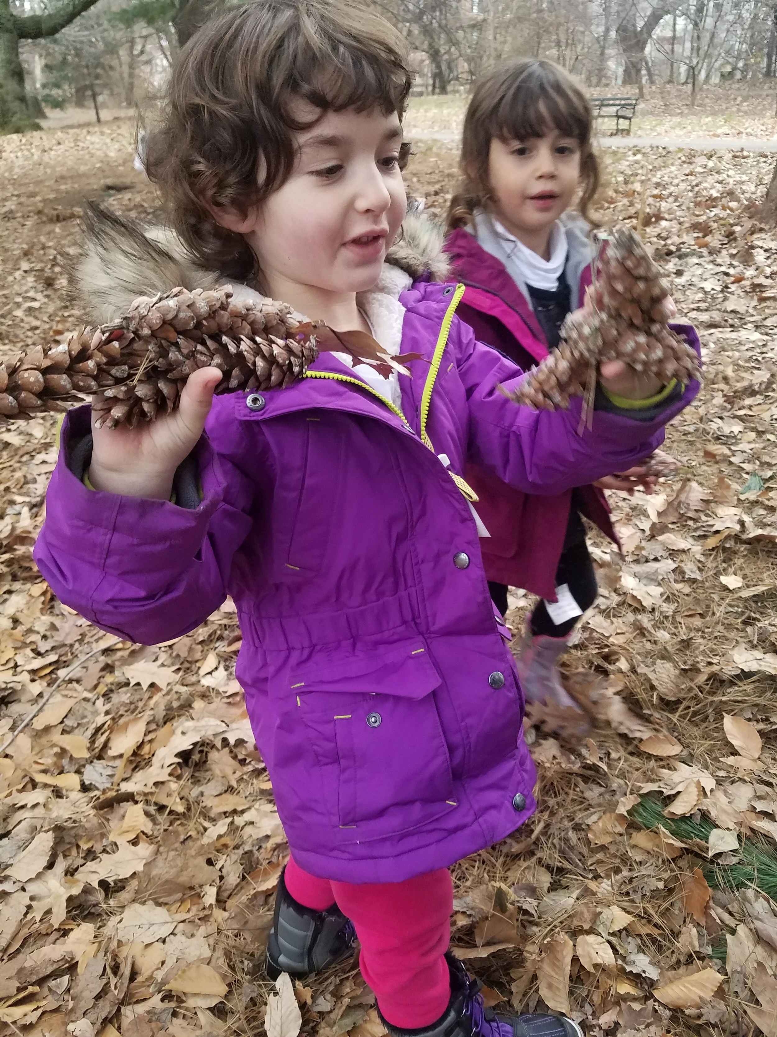 20181214_153522.jpg