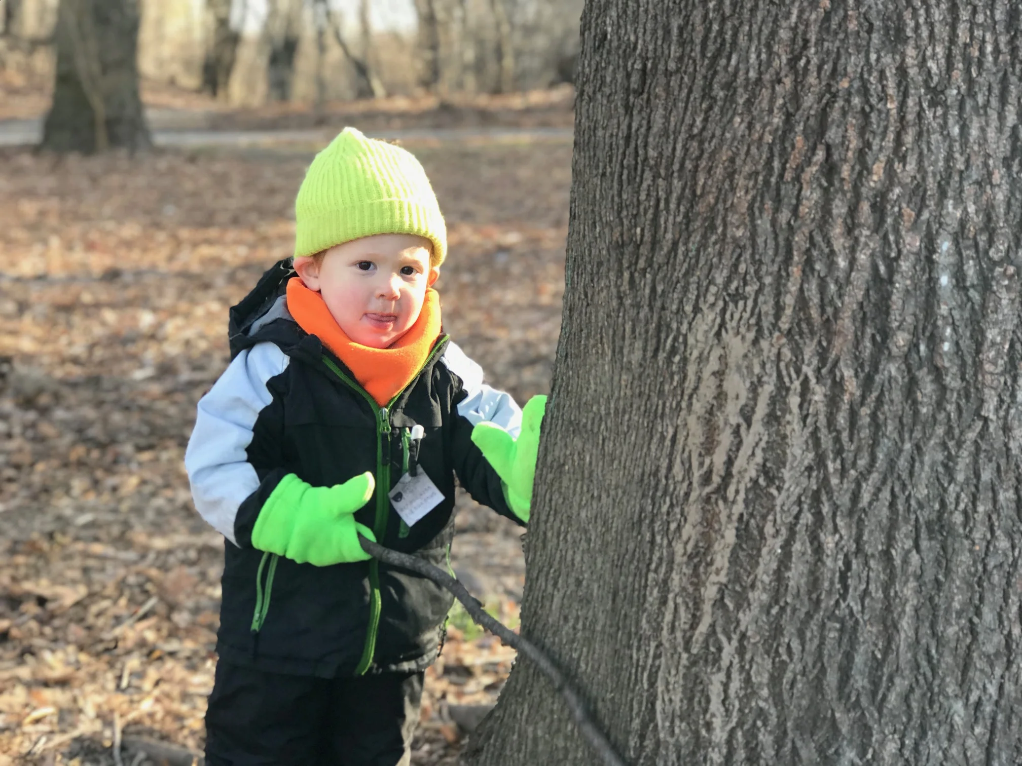 IMG_3214.jpg