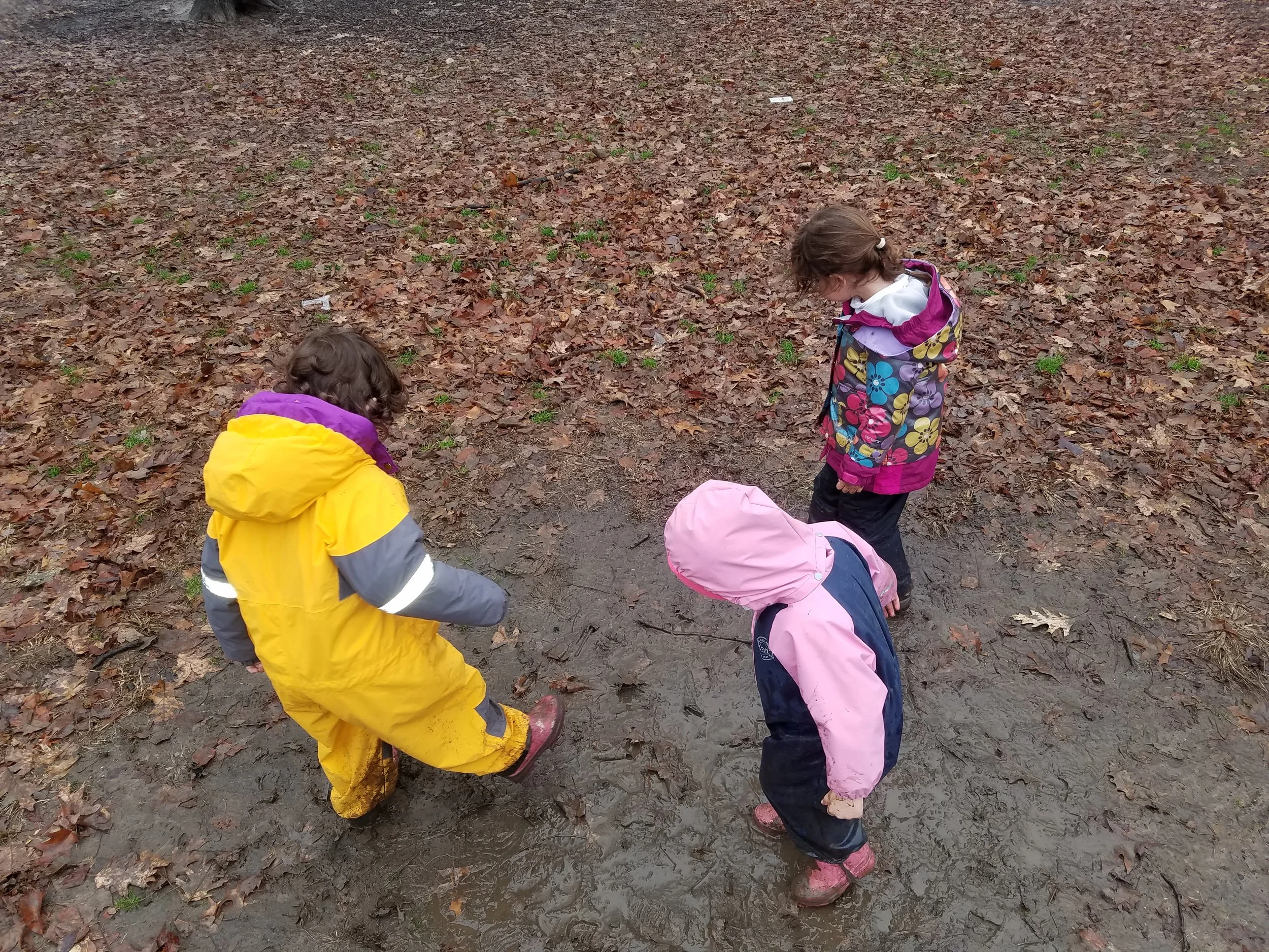 20181221_153952.jpg