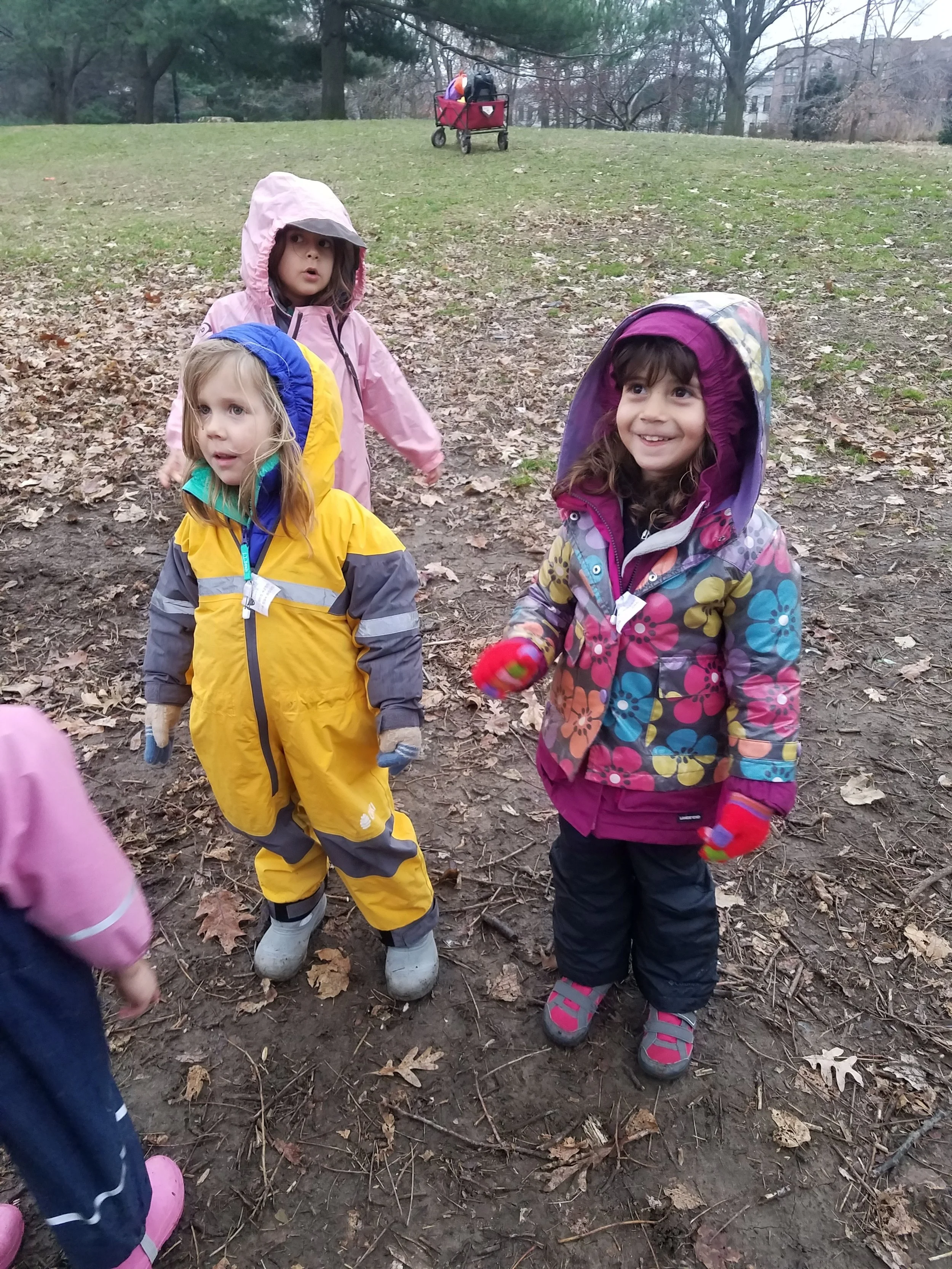 20181220_153617.jpg