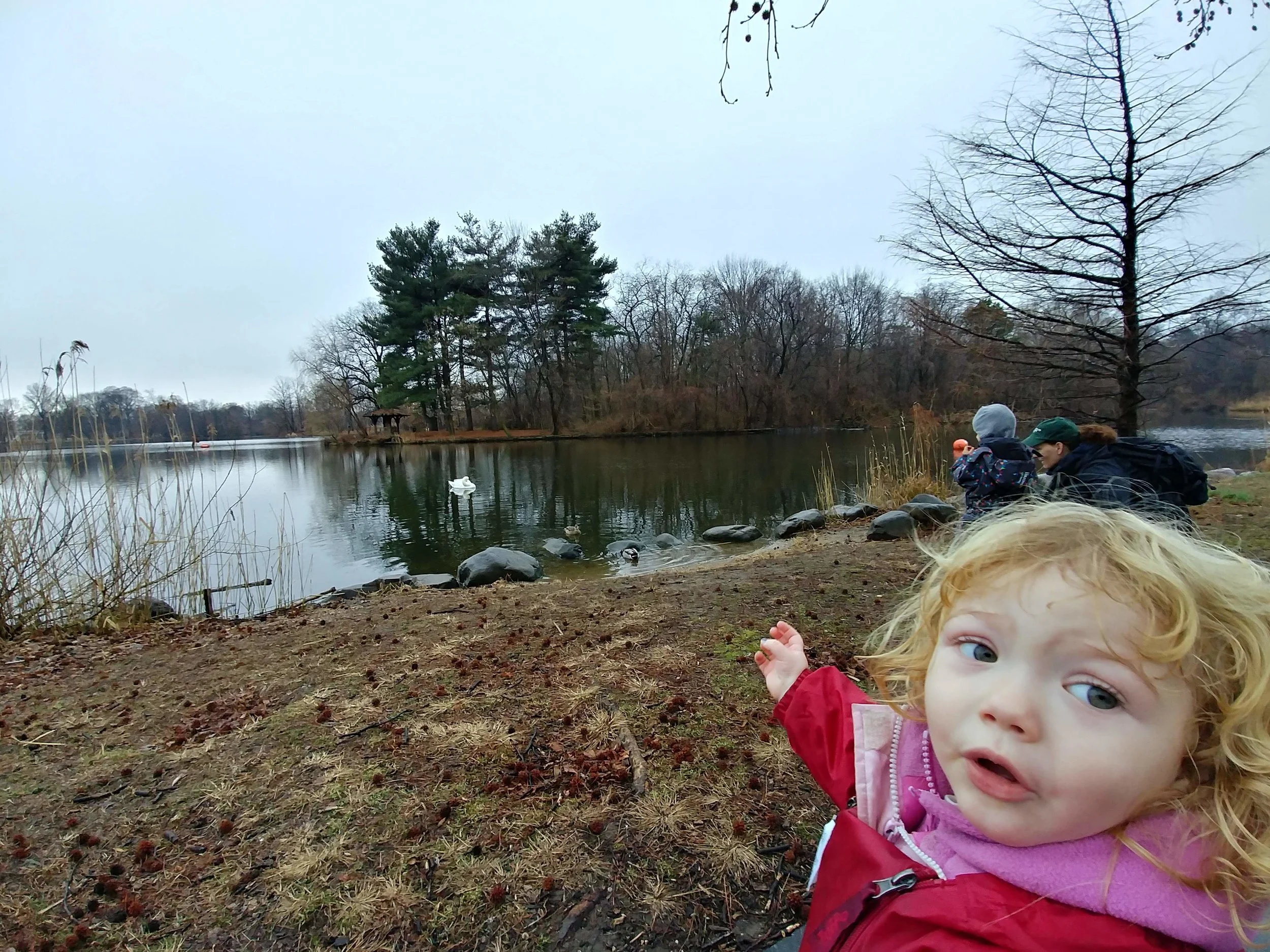 20190108_095337_HDR.jpg