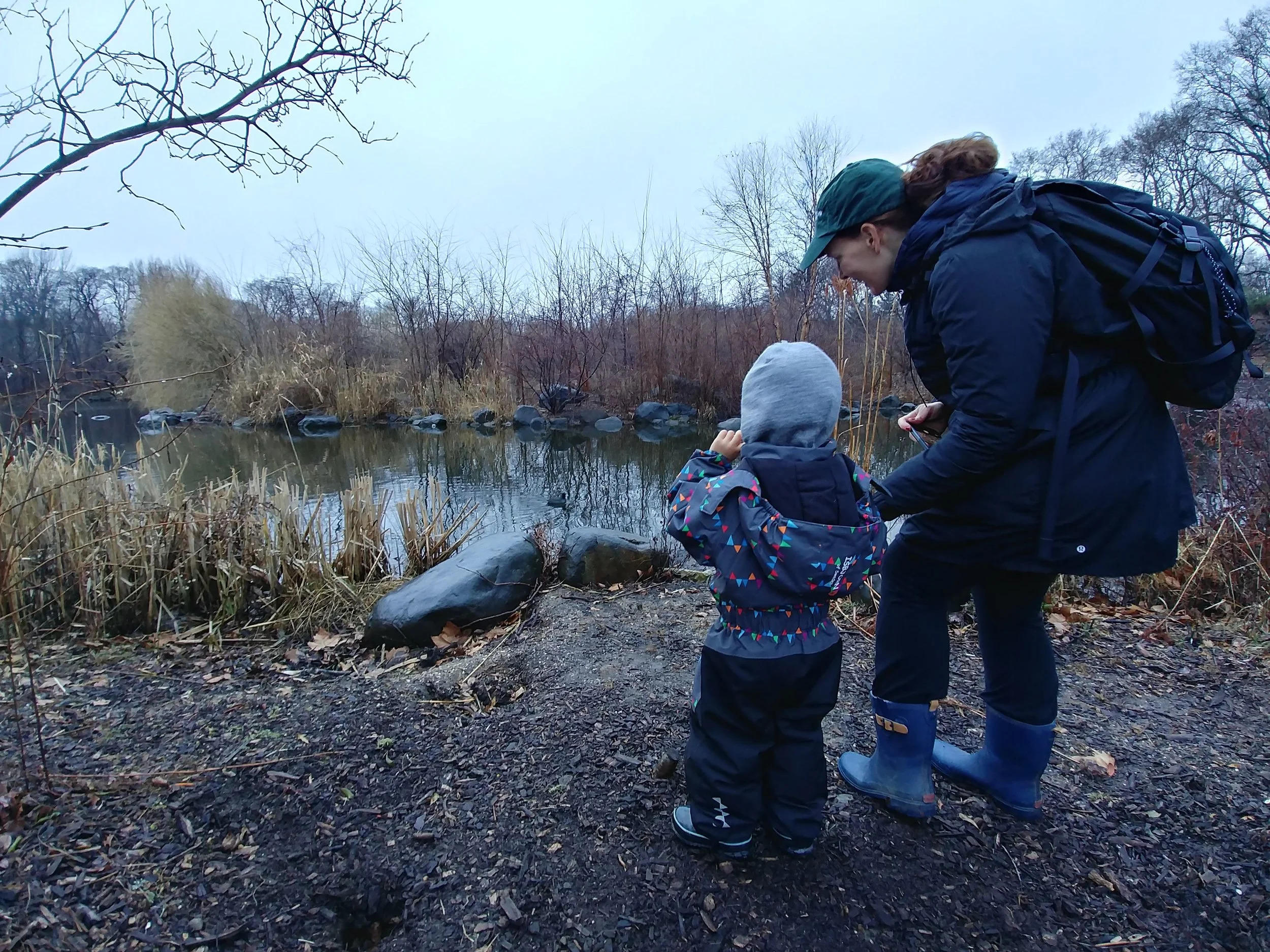 20190108_094656_HDR.jpg