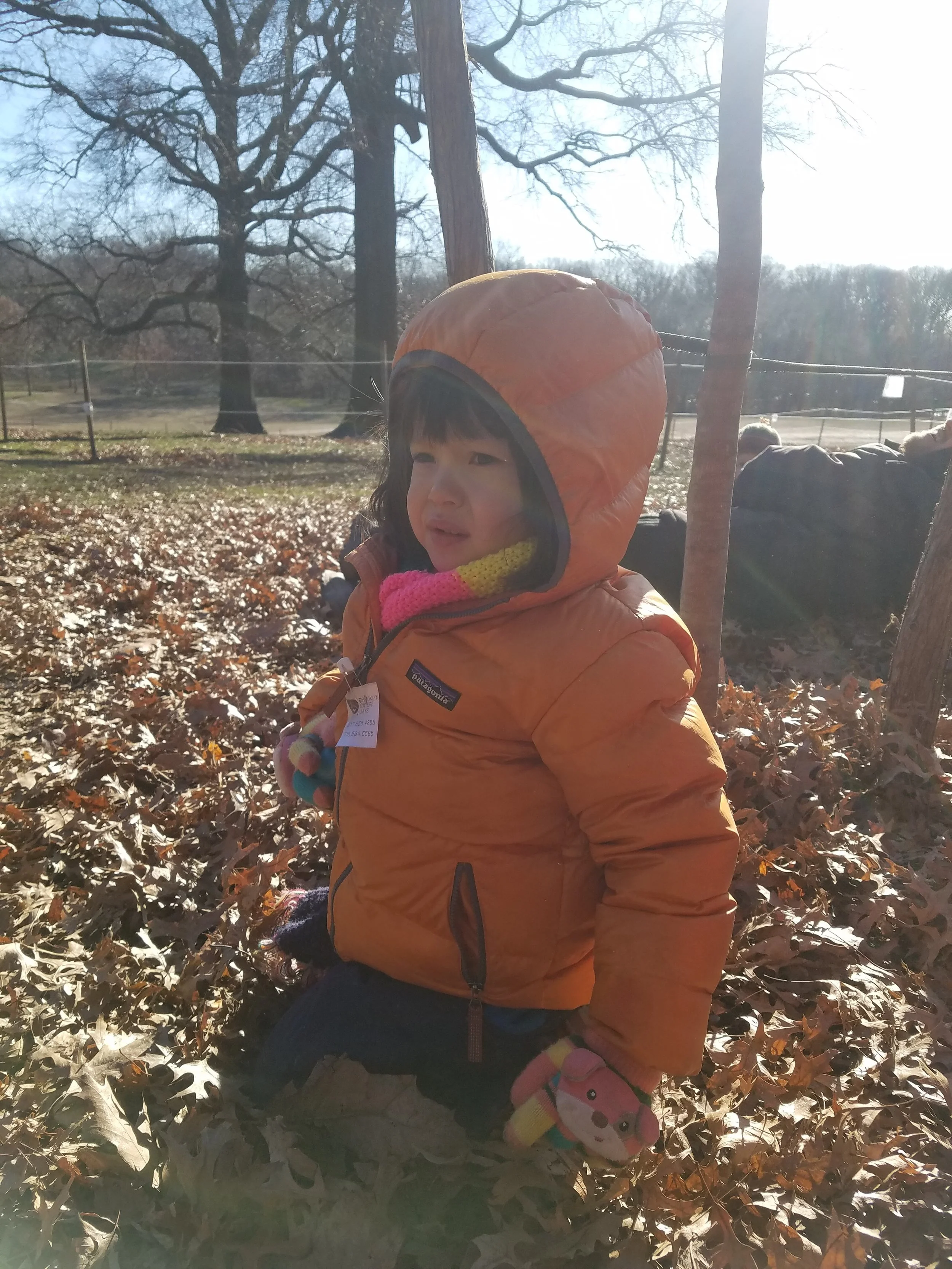 20190111_100951.jpg