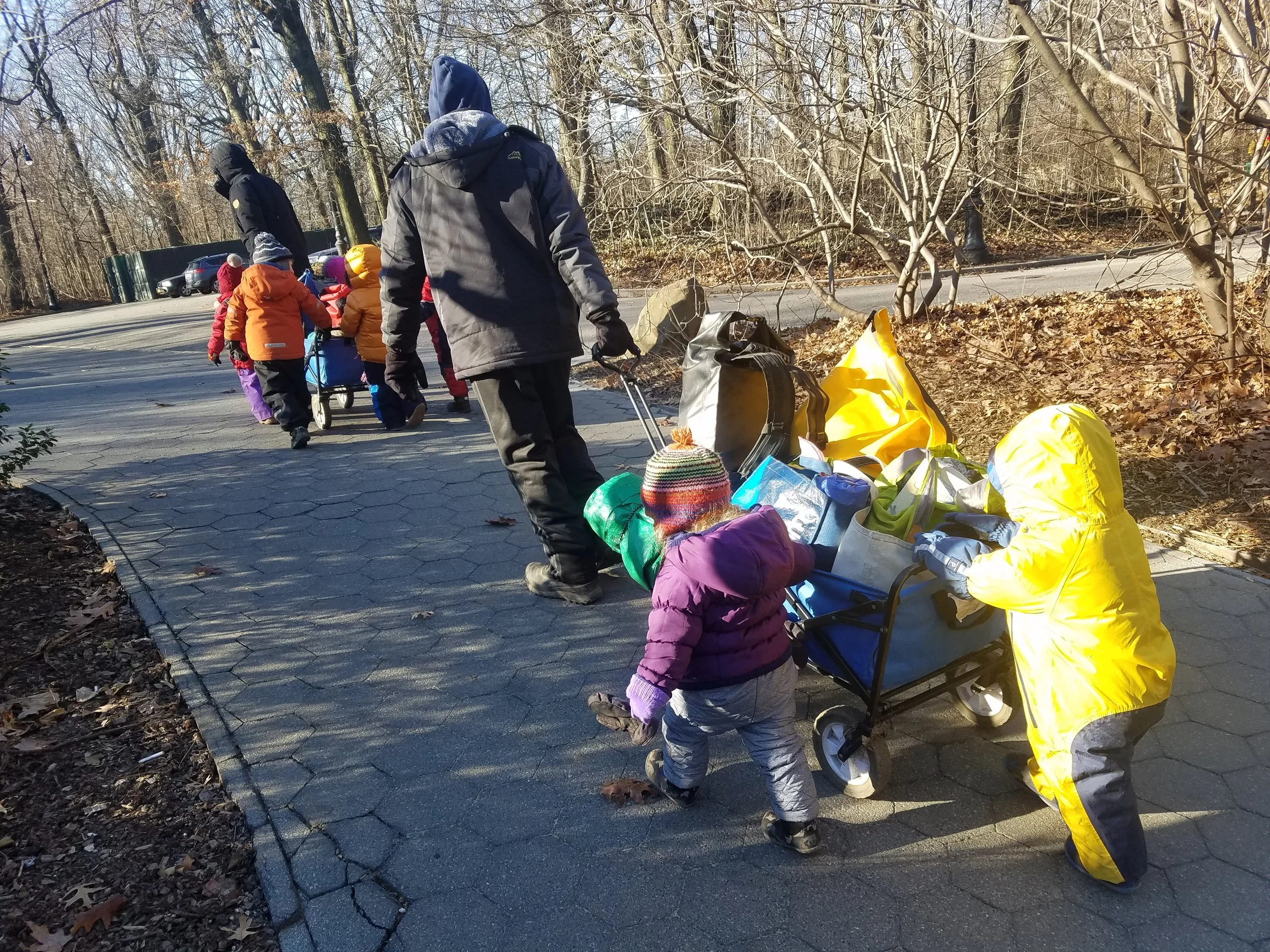 20190111_095753.jpg