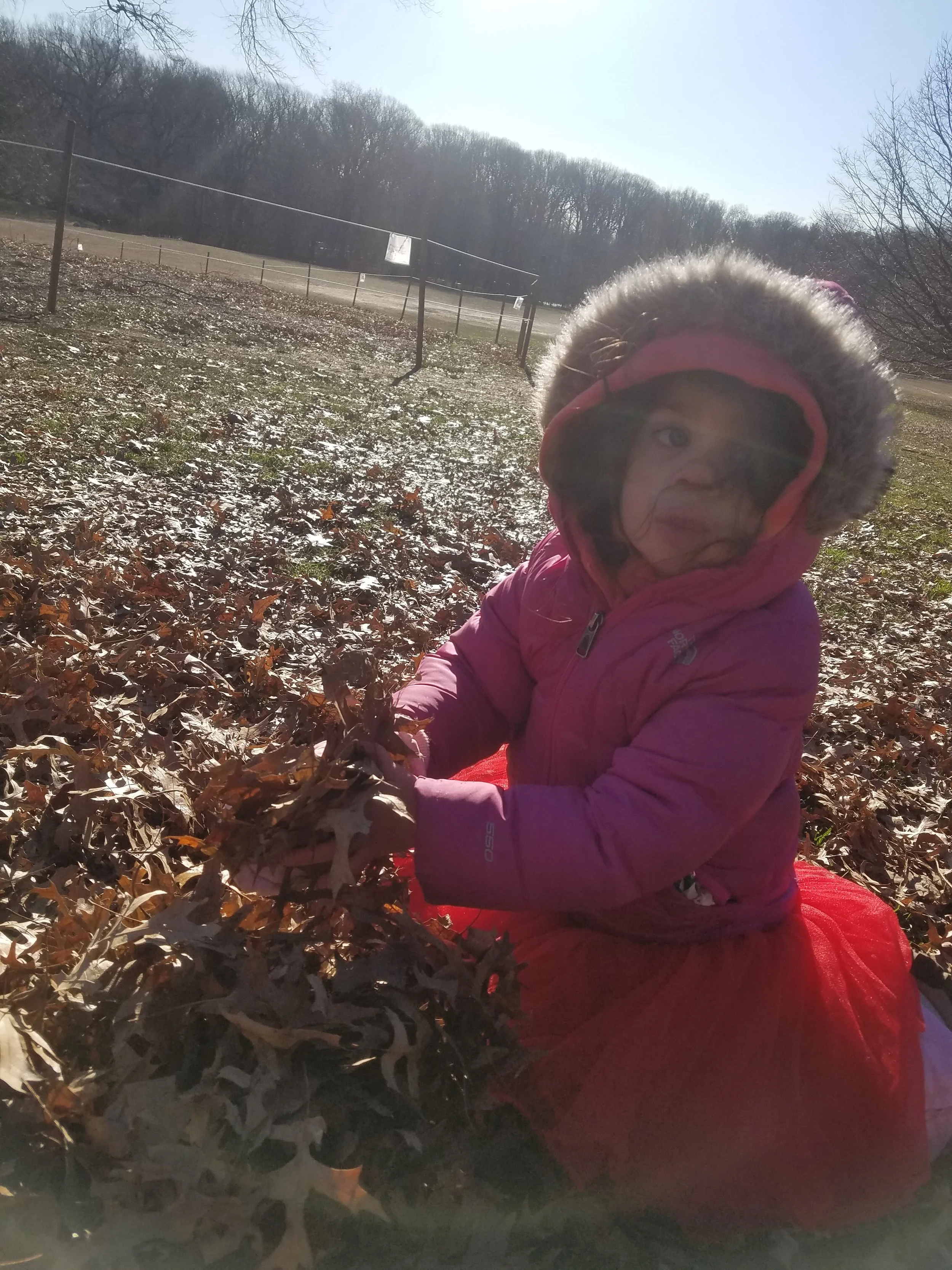 20190111_100705.jpg