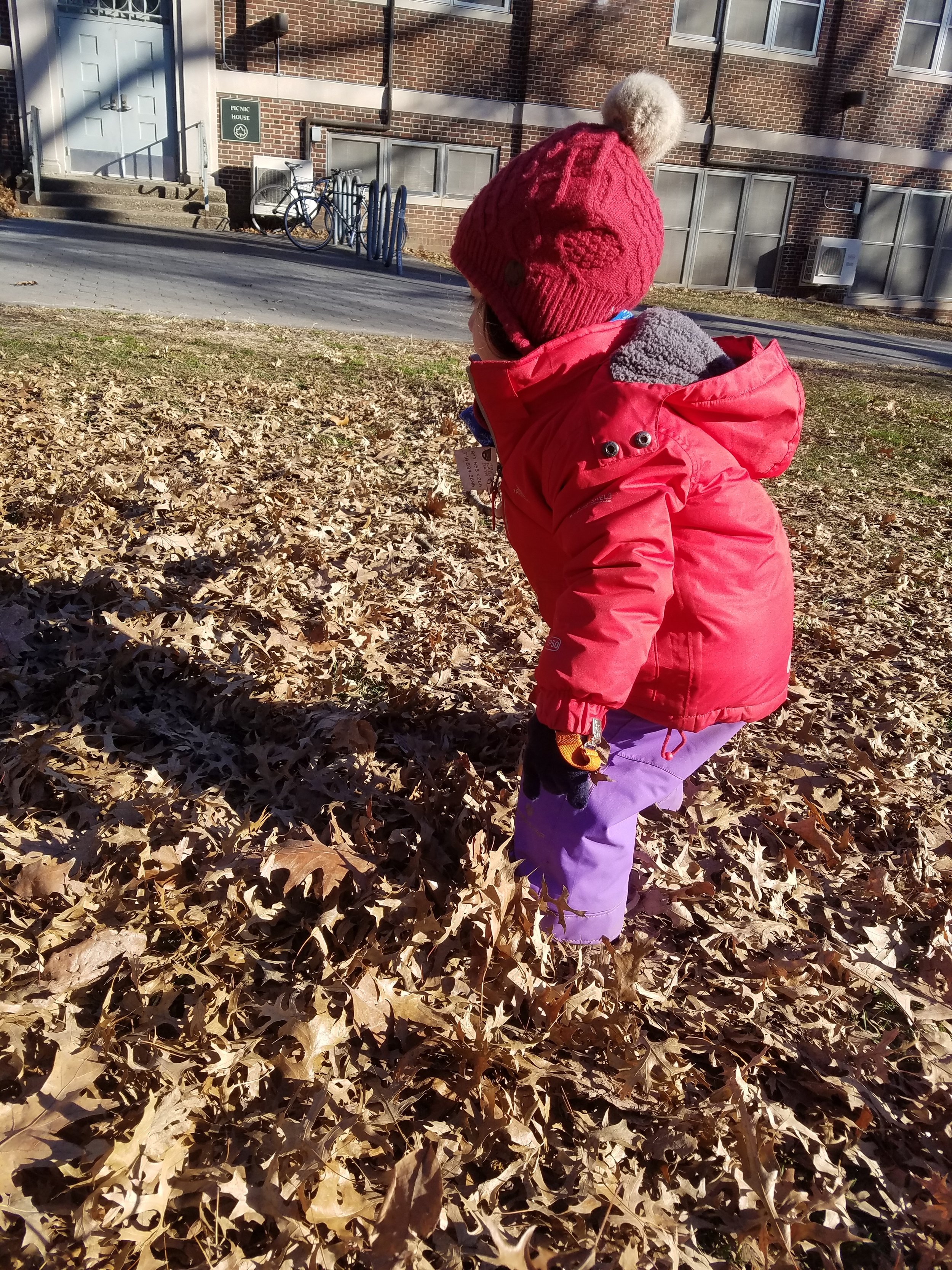 20190111_101016.jpg