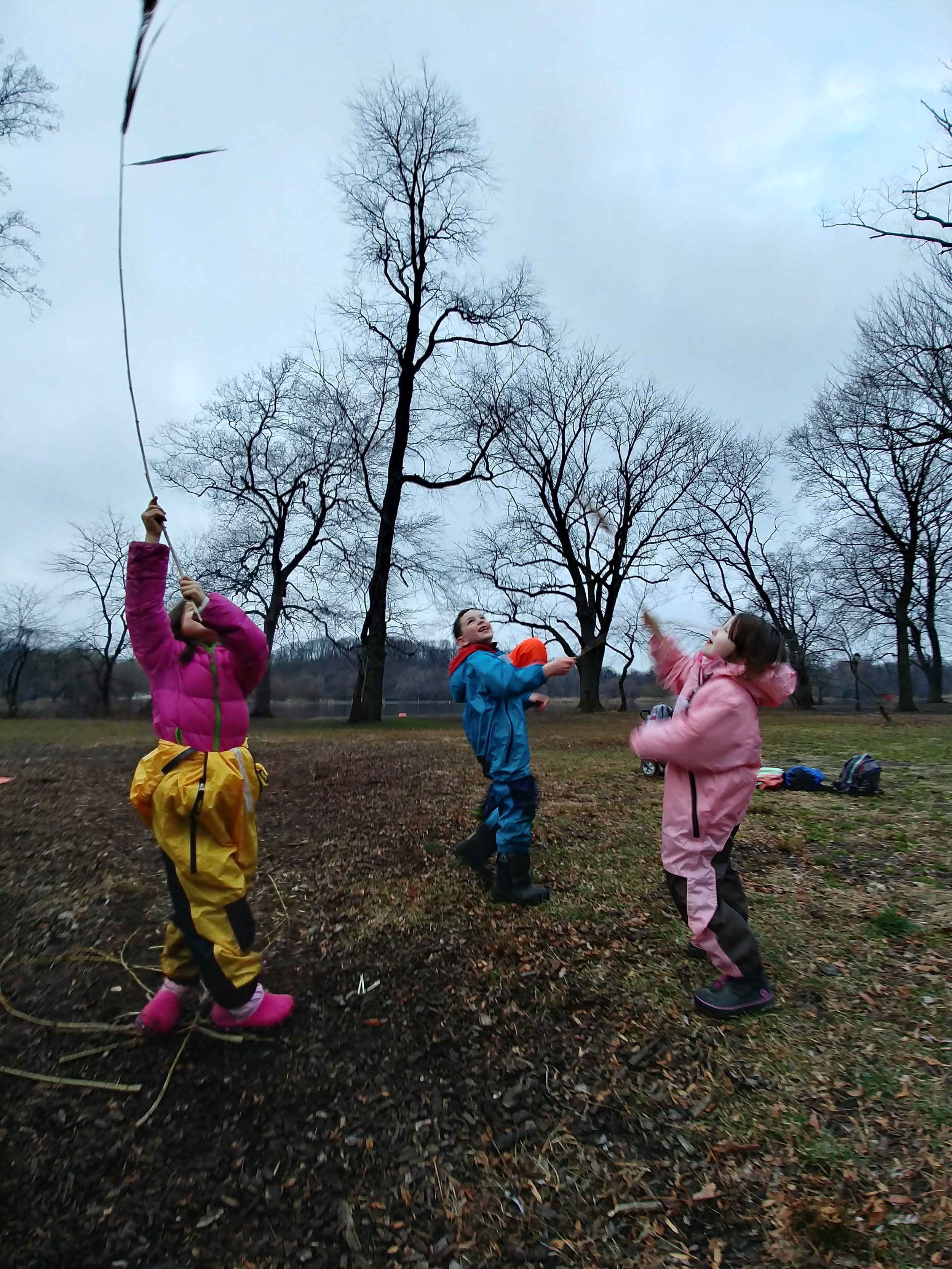 20190108_162304_HDR.jpg