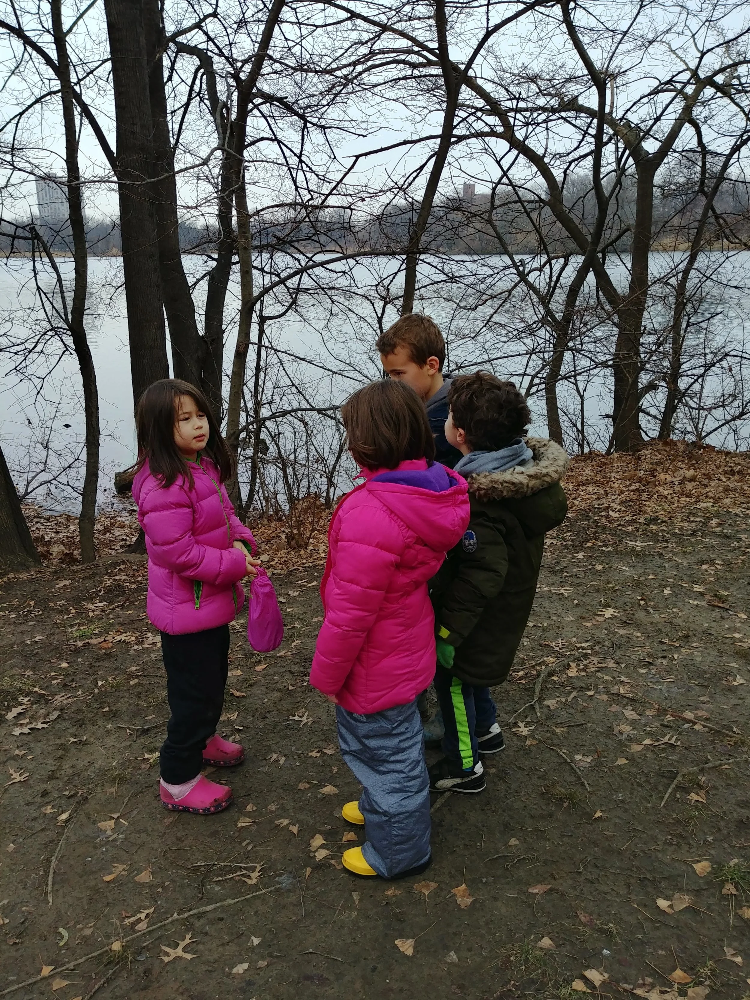 20190104_153309_HDR.jpg
