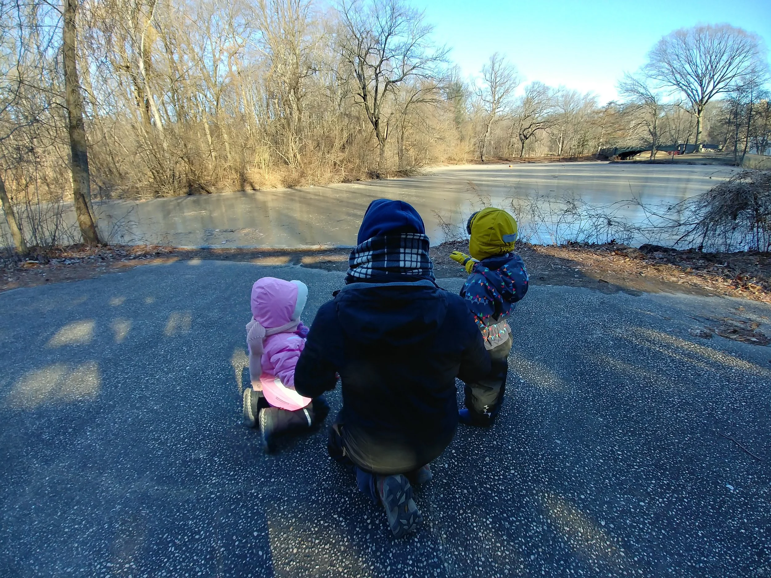 20190122_092034_HDR.jpg