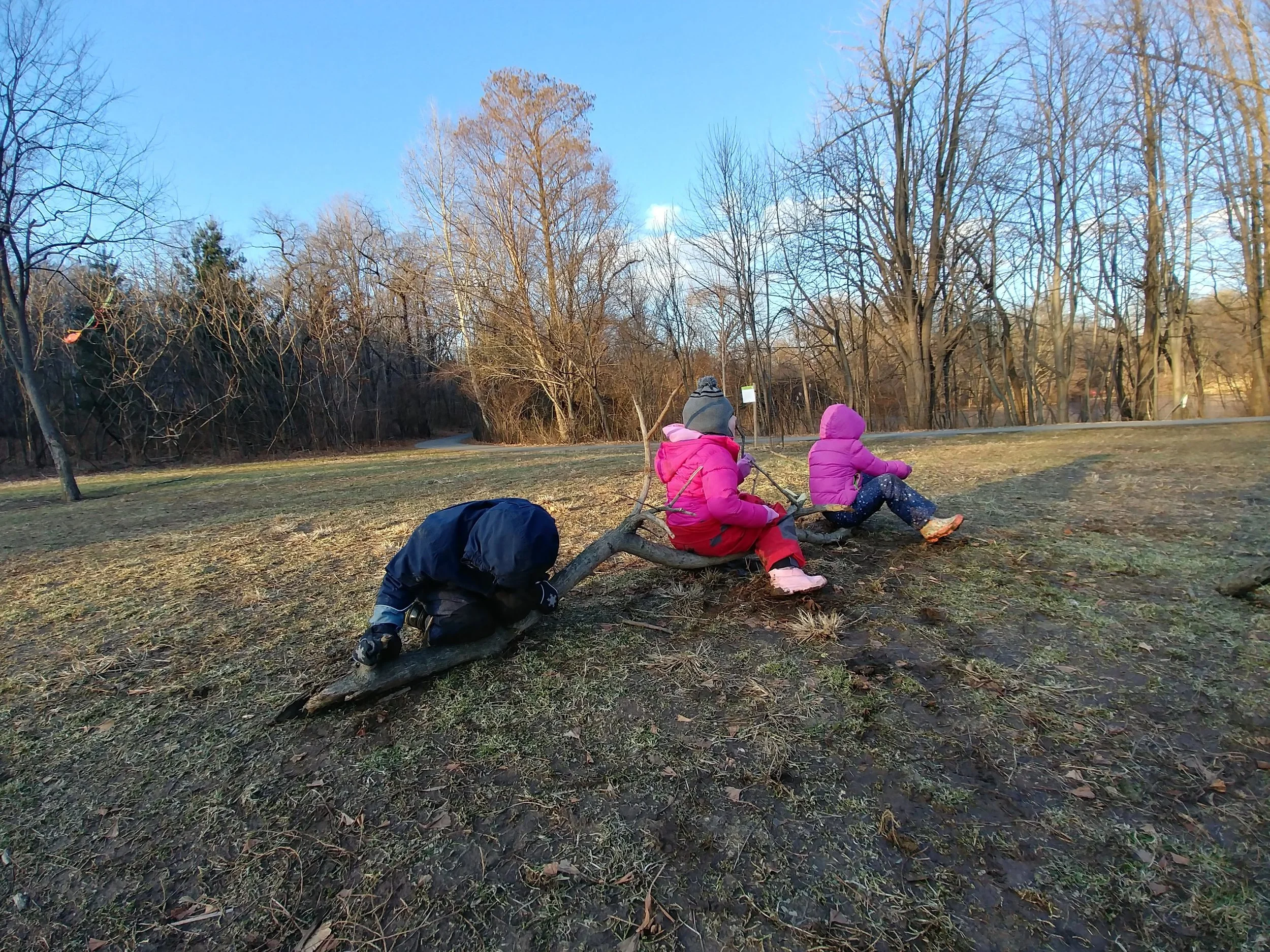 20190125_161522_HDR.jpg