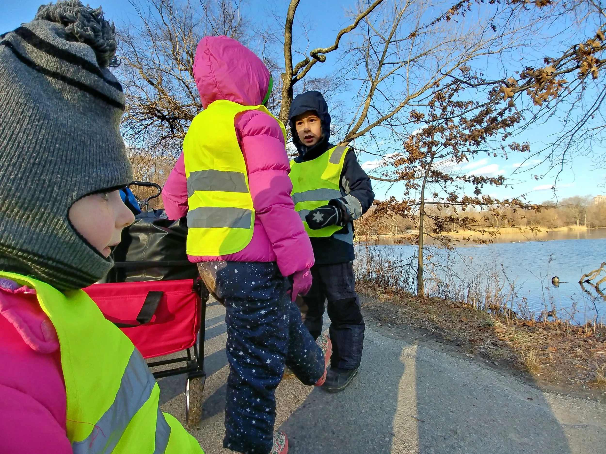 20190125_154504_HDR.jpg