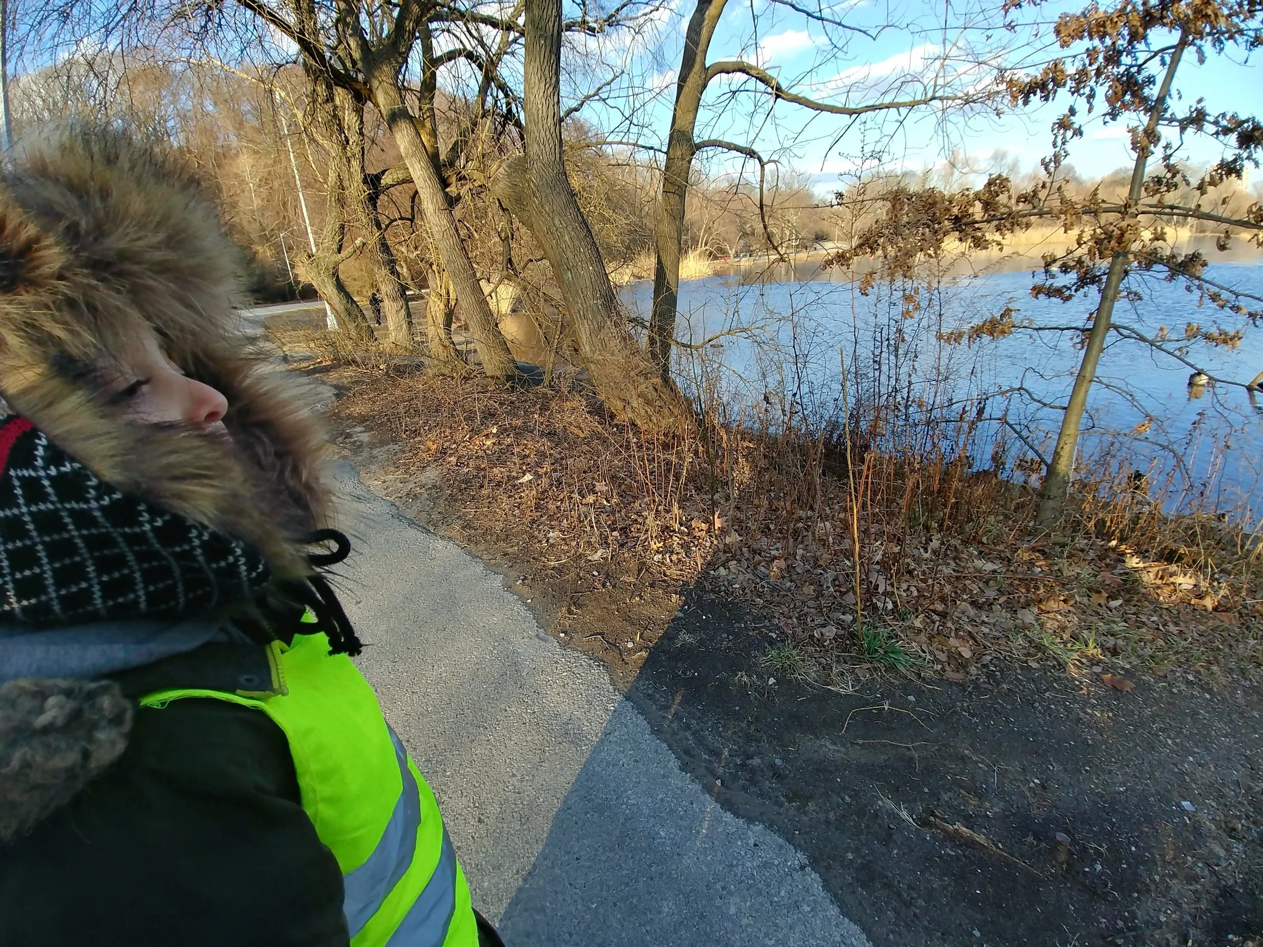 20190125_154454_HDR.jpg