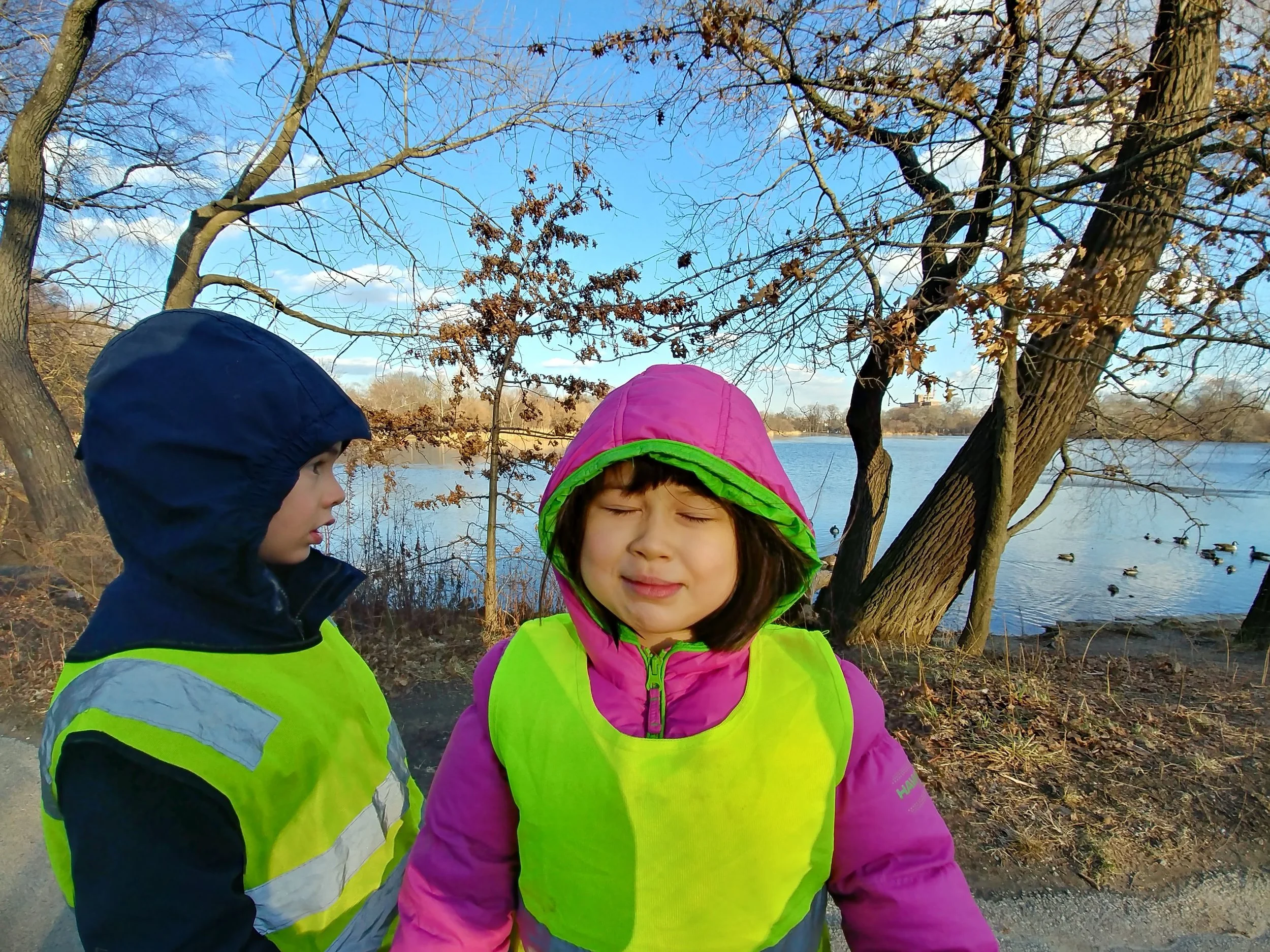 20190125_154404_HDR.jpg